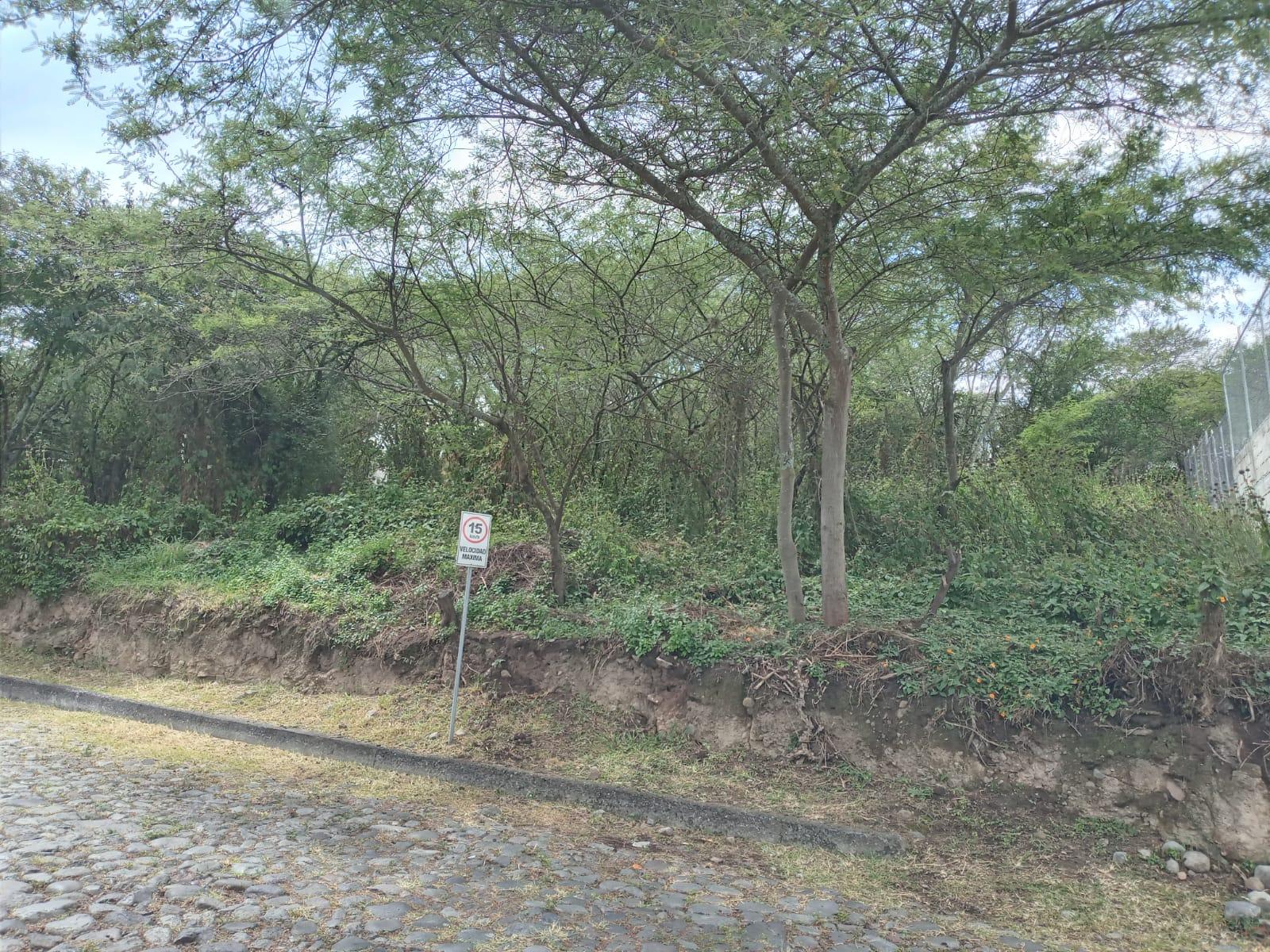 Terreno en venta en Pichincha | Quito | Tumbaco, Urbanización Algarrobos de la Viña, Tumbaco, 925 m²
