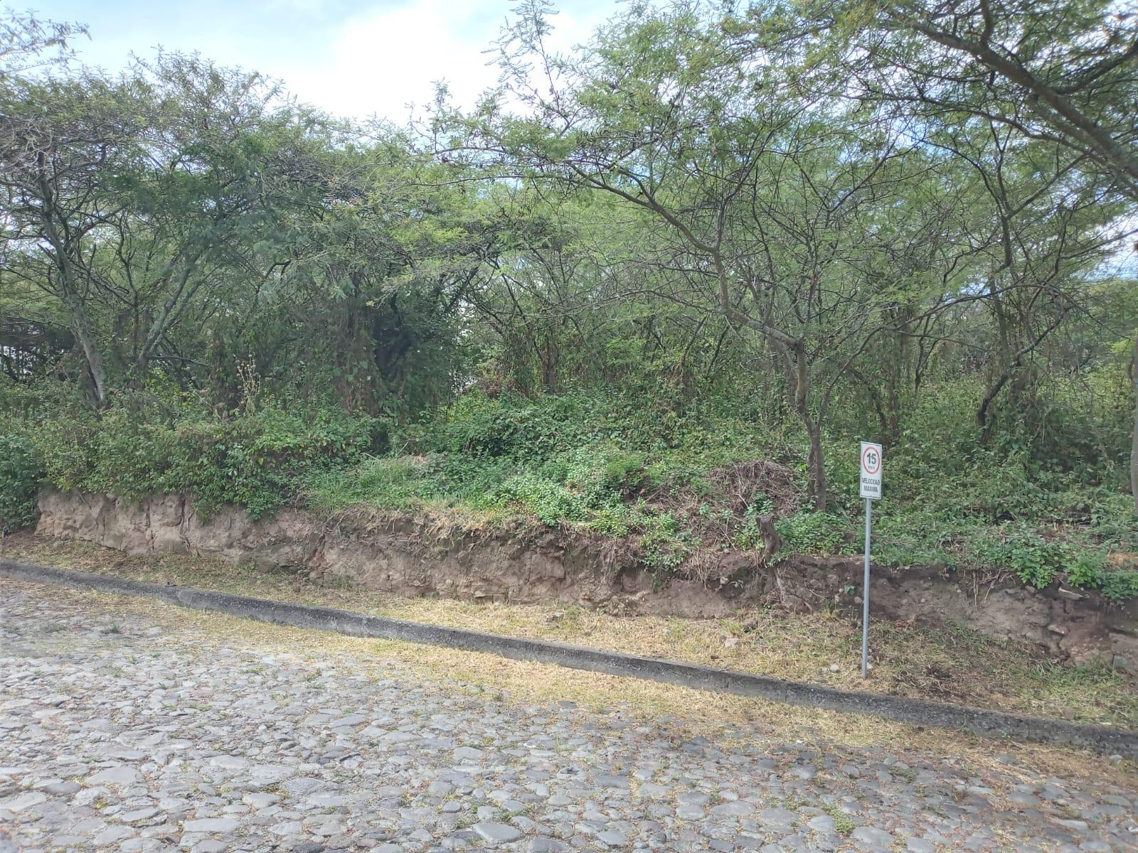 Terreno en venta en Pichincha | Quito | Tumbaco, Urbanización Algarrobos de la Viña, Tumbaco, 925 m²