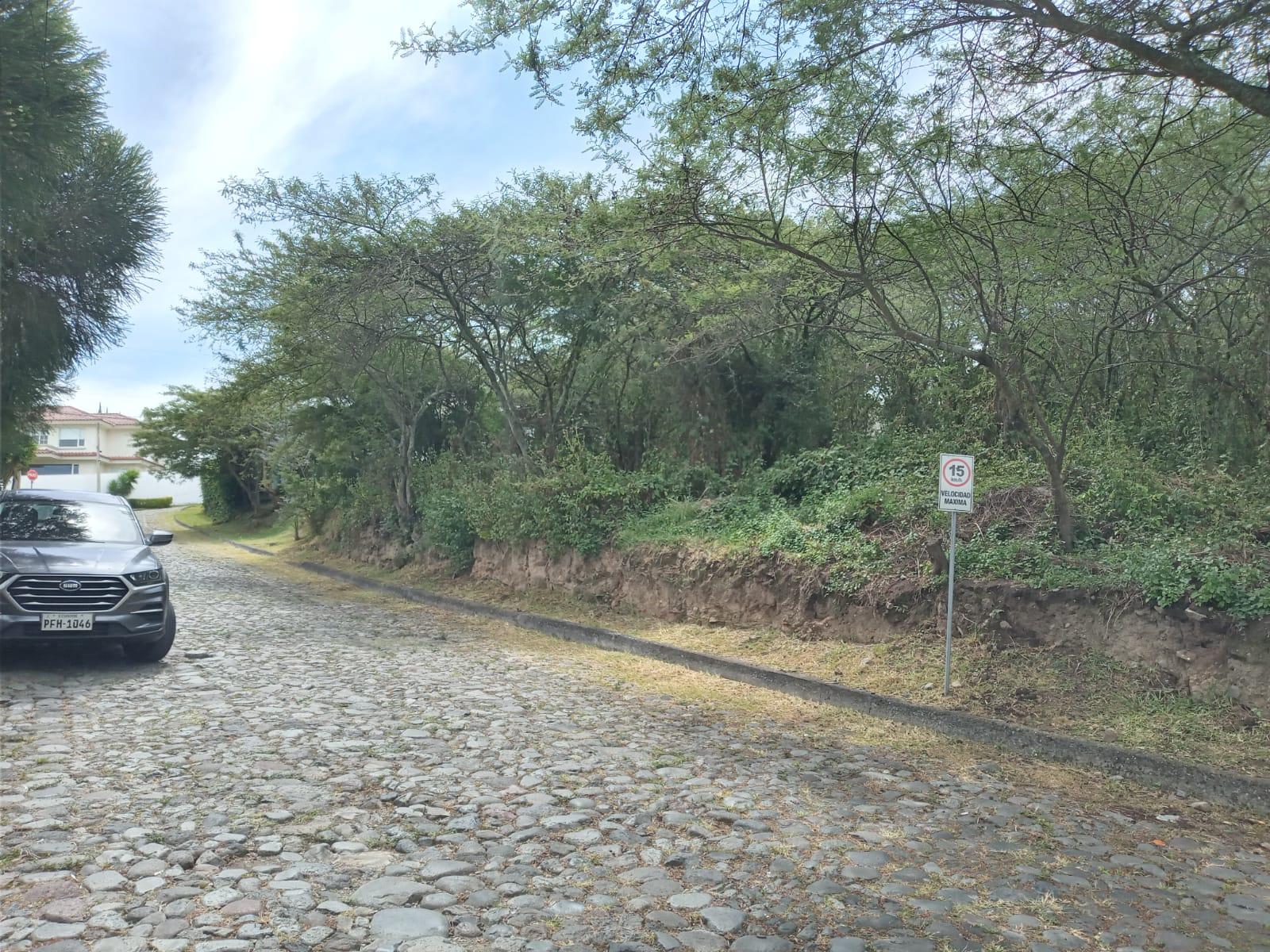 Terreno en venta en Pichincha | Quito | Tumbaco, Urbanización Algarrobos de la Viña, Tumbaco, 925 m²