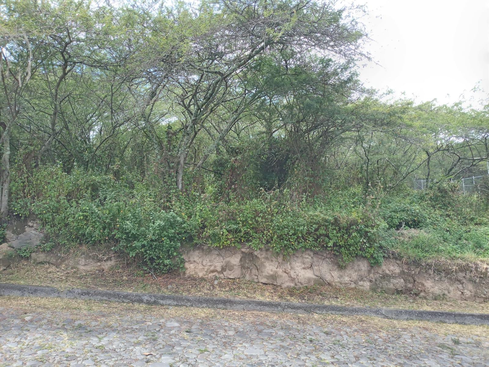Terreno en venta en Pichincha | Quito | Tumbaco, Urbanización Algarrobos de la Viña, Tumbaco, 925 m²