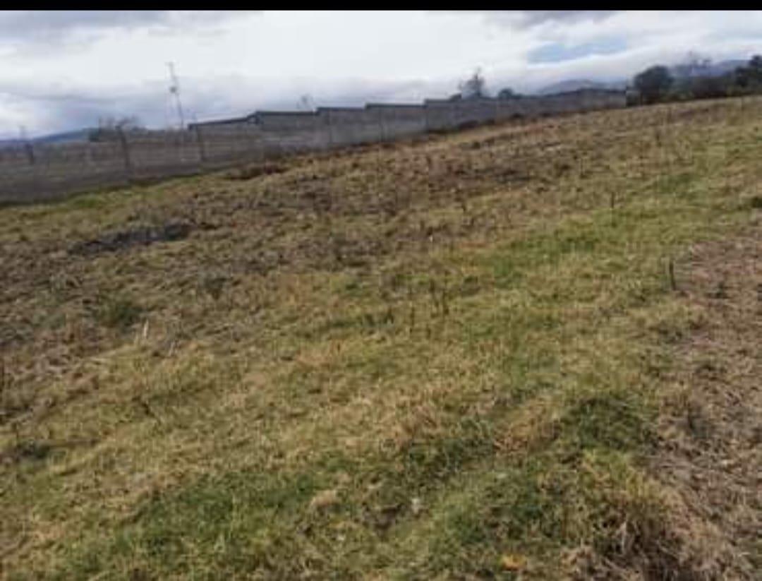 Land in Sangolquí 2