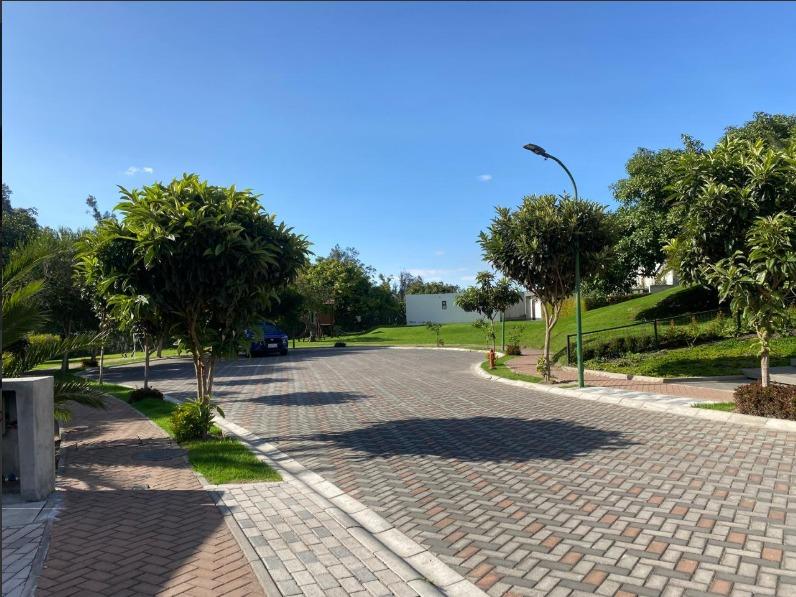 Terreno en venta en Pichincha | Quito | Puembo, Puembo Cesar Mora y Marquesa de Solanda sector Parque Central, 930 m²