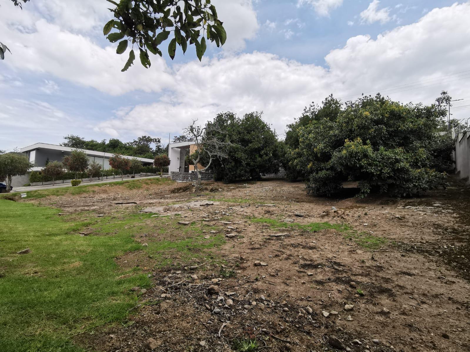 Terreno en venta en Pichincha | Quito | Puembo, Puembo Cesar Mora y Marquesa de Solanda sector Parque Central, 930 m²