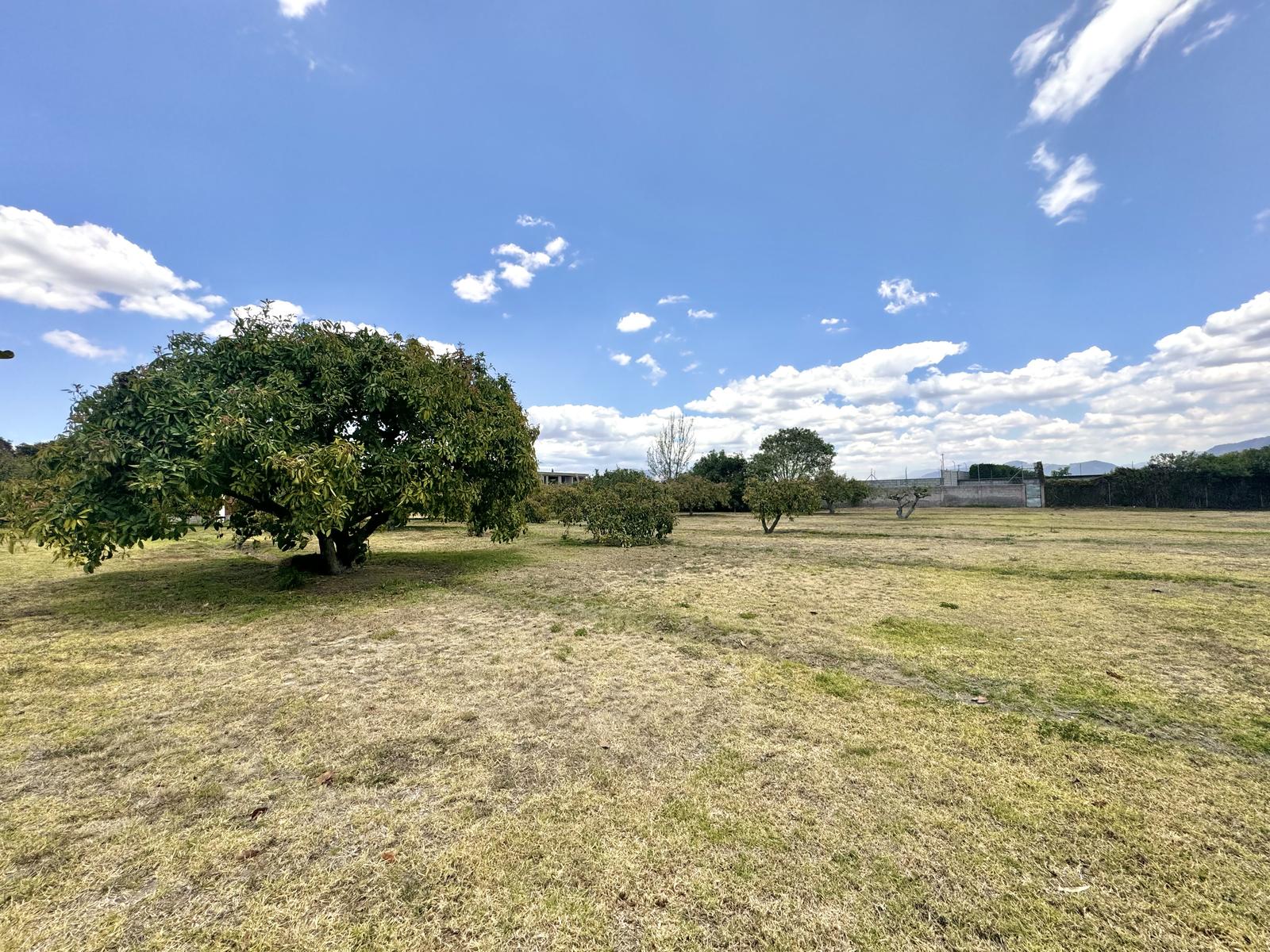 Terreno en venta en Pichincha | Quito | Puembo, Arrayanes, Puembo