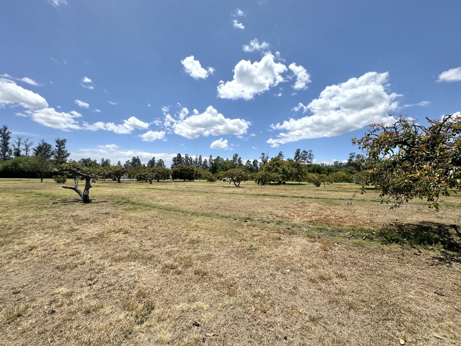 Terreno en venta en Pichincha | Quito | Puembo, Arrayanes, Puembo