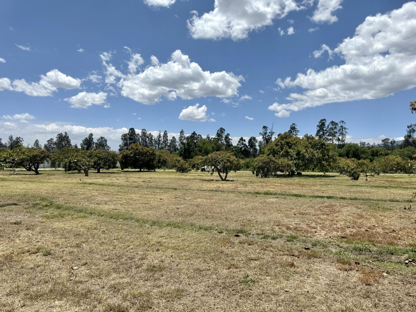 Terreno en venta en Pichincha | Quito | Puembo, Arrayanes, Puembo