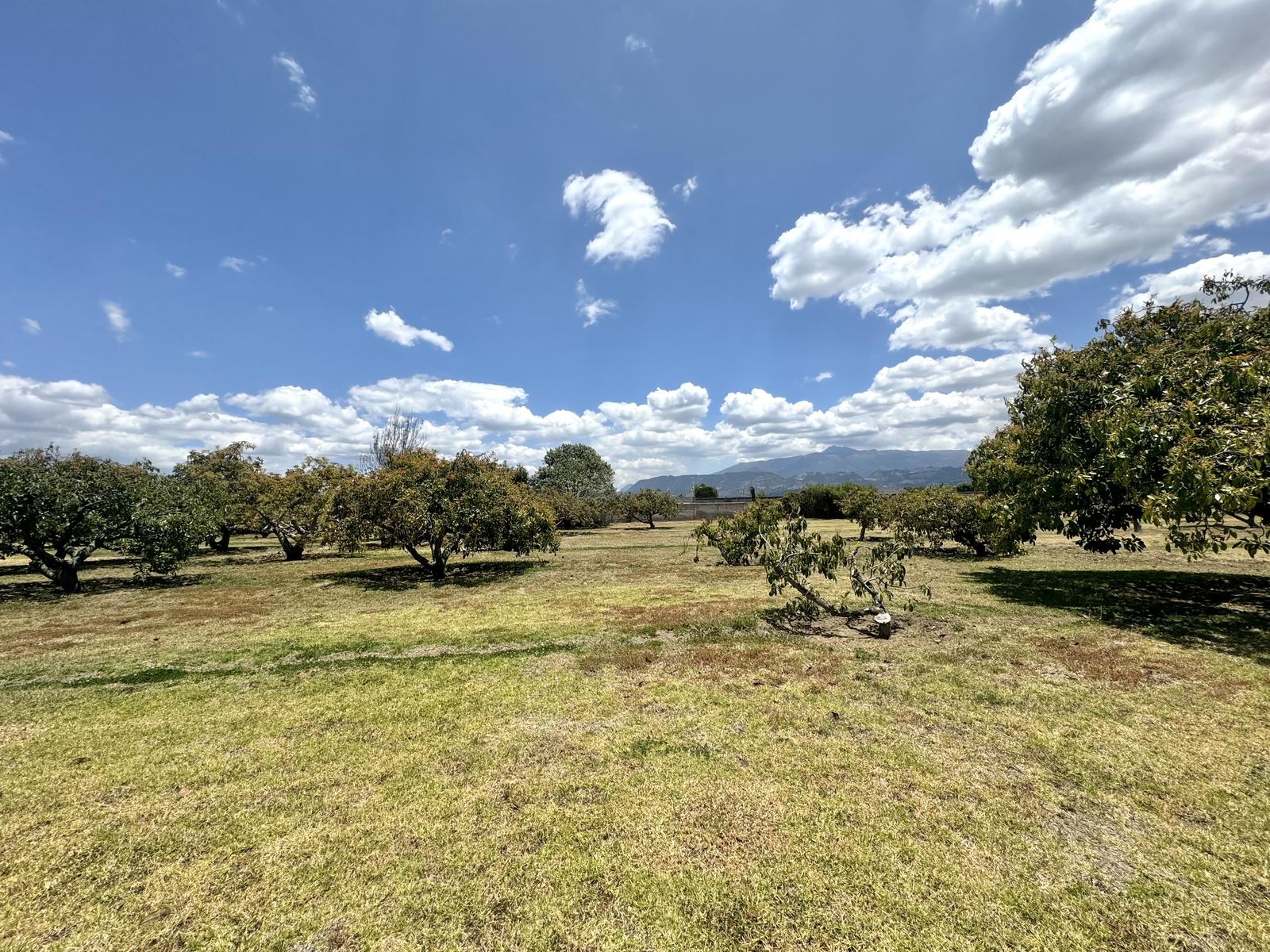 Terreno en venta en Pichincha | Quito | Puembo, Calle Cornejo Sánchez, Urbanización El Chaupi, Lote 8