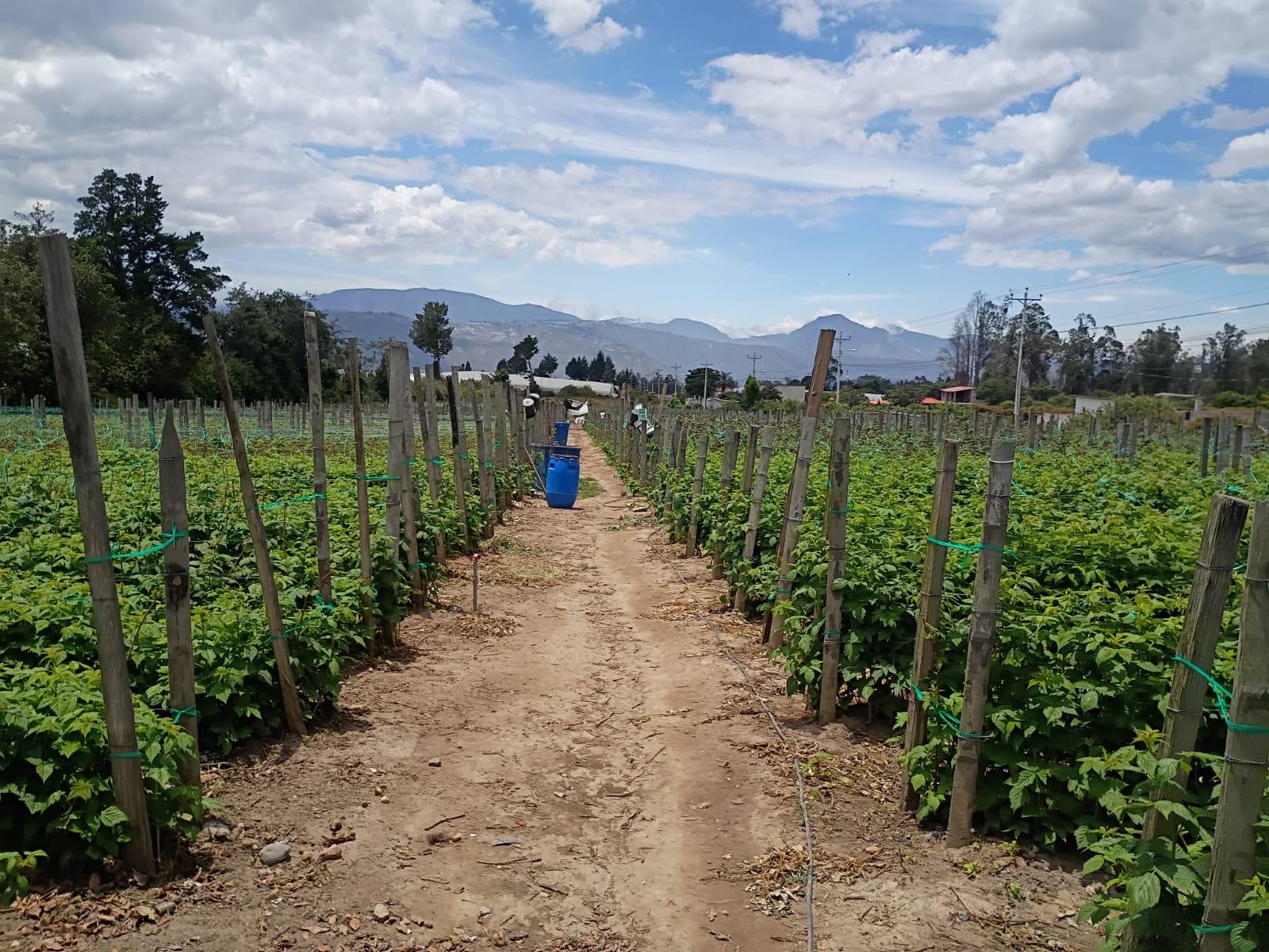 Terreno entre El Quinche y Guayllabamba