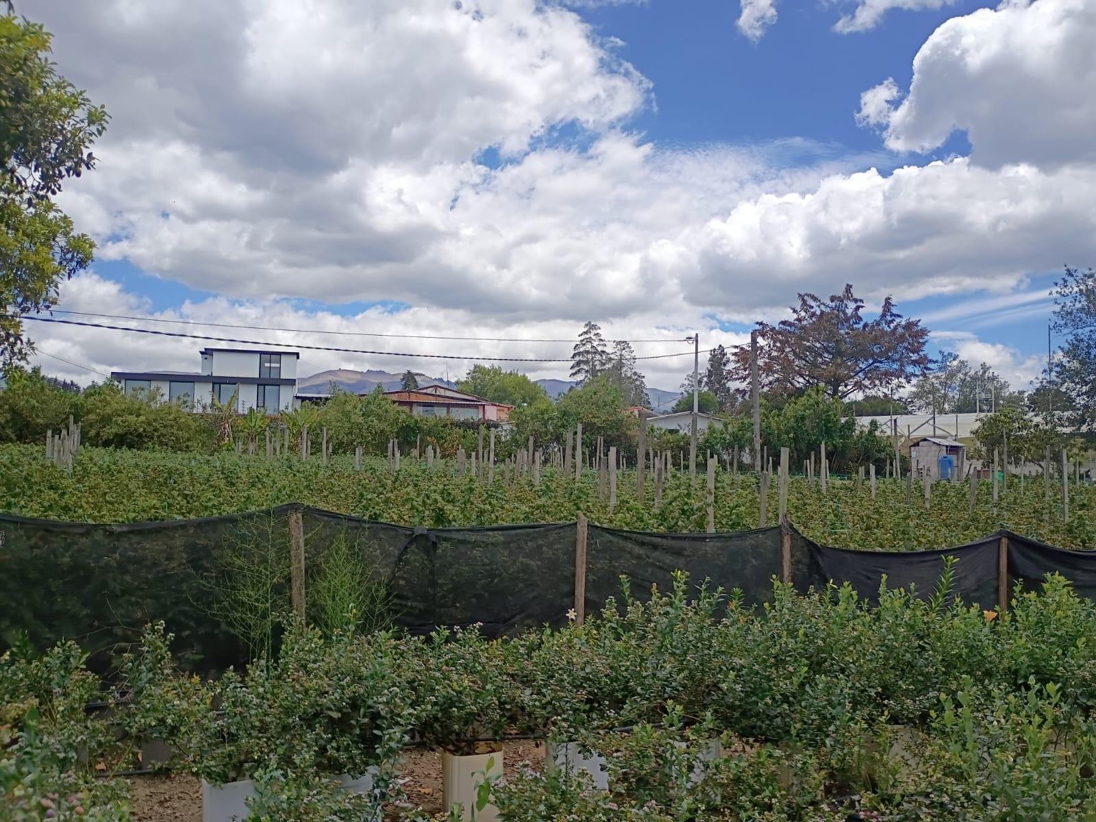 Terreno entre El Quinche y Guayllabamba