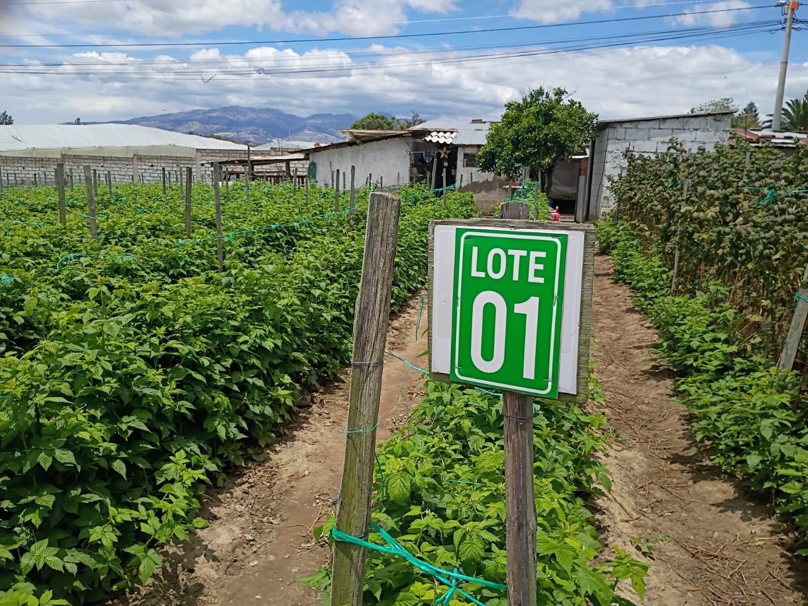 Terreno entre El Quinche y Guayllabamba
