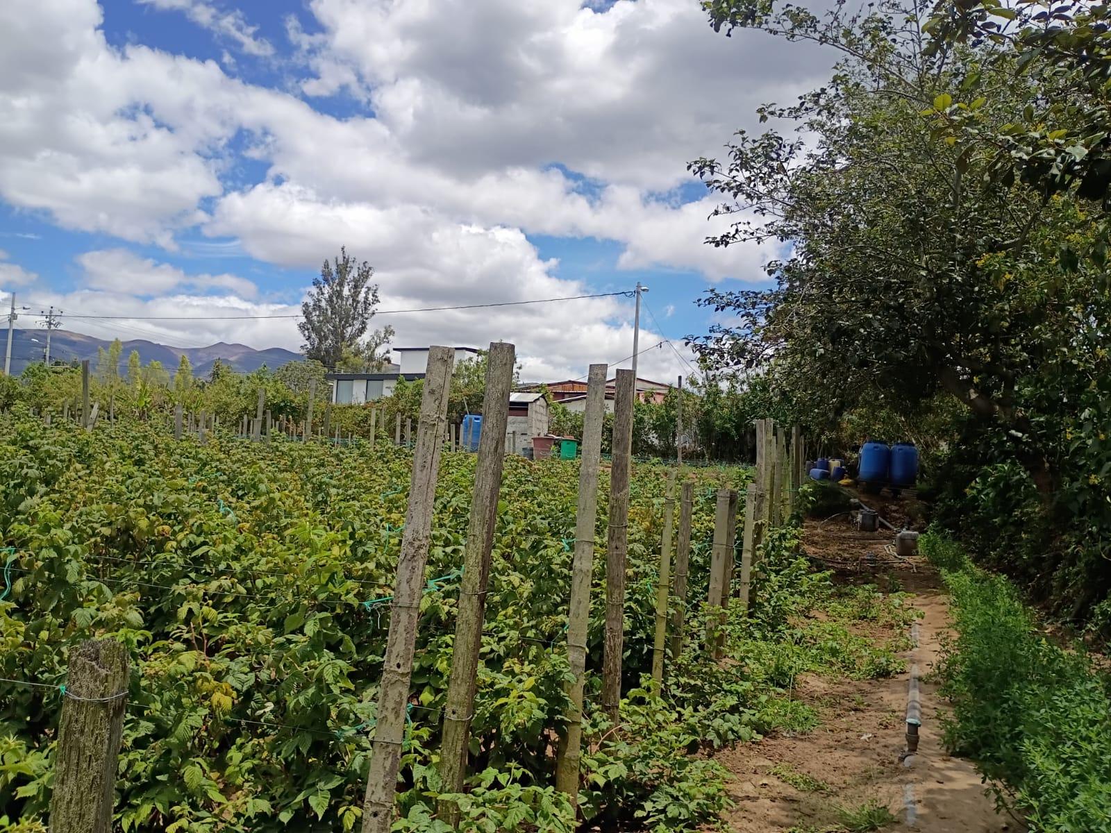Terreno entre El Quinche y Guayllabamba