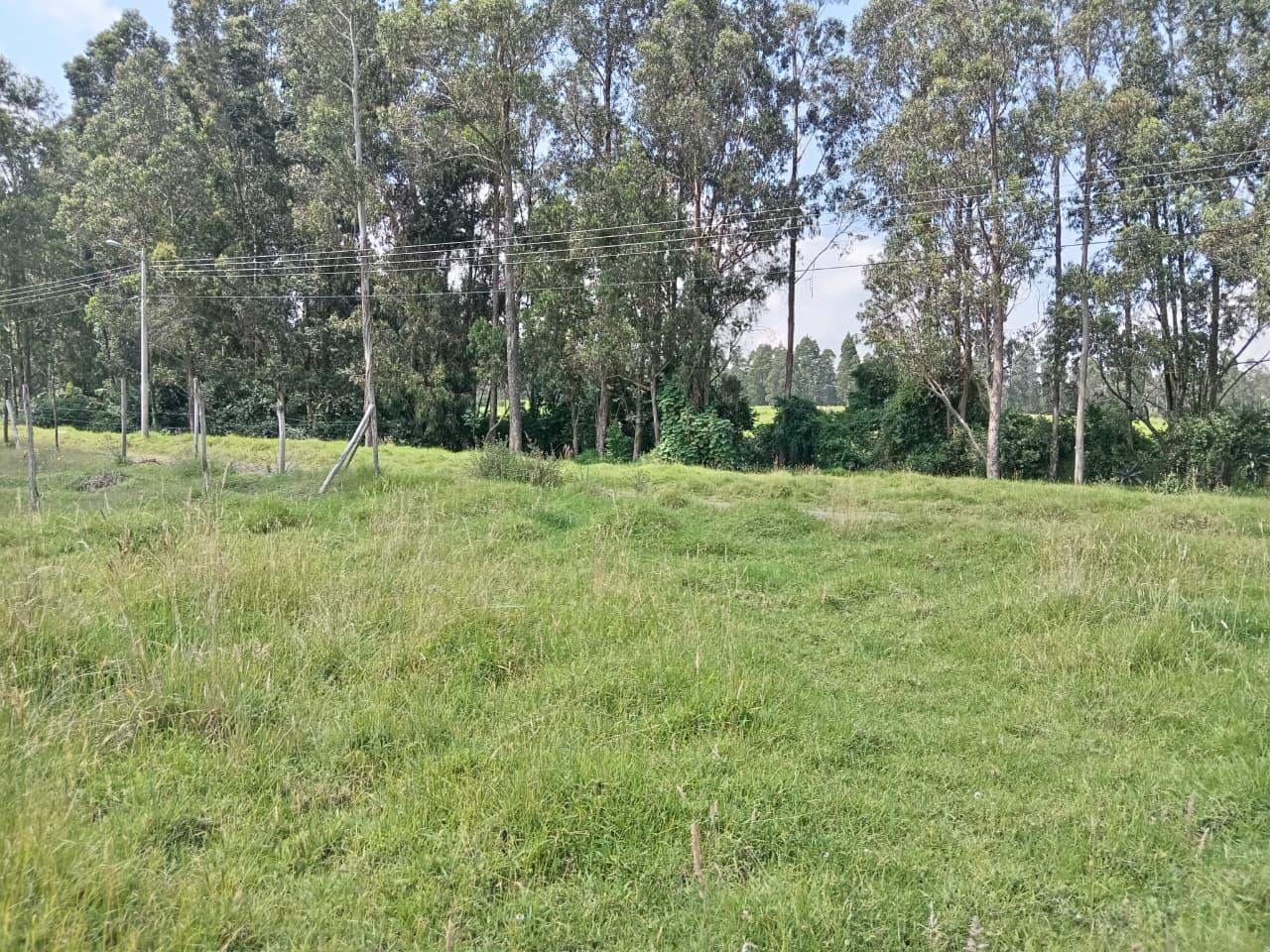 Land for Sale in Inchalillo 5