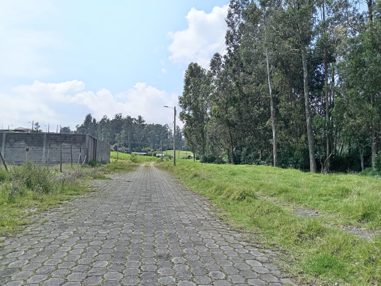 Land for Sale in Inchalillo 2
