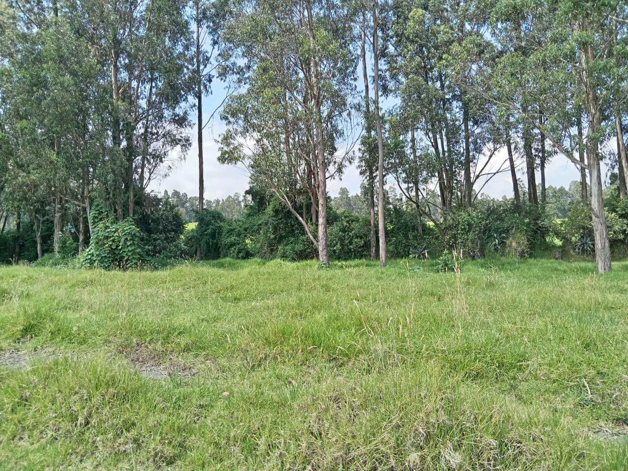 Land for Sale in Inchalillo 3