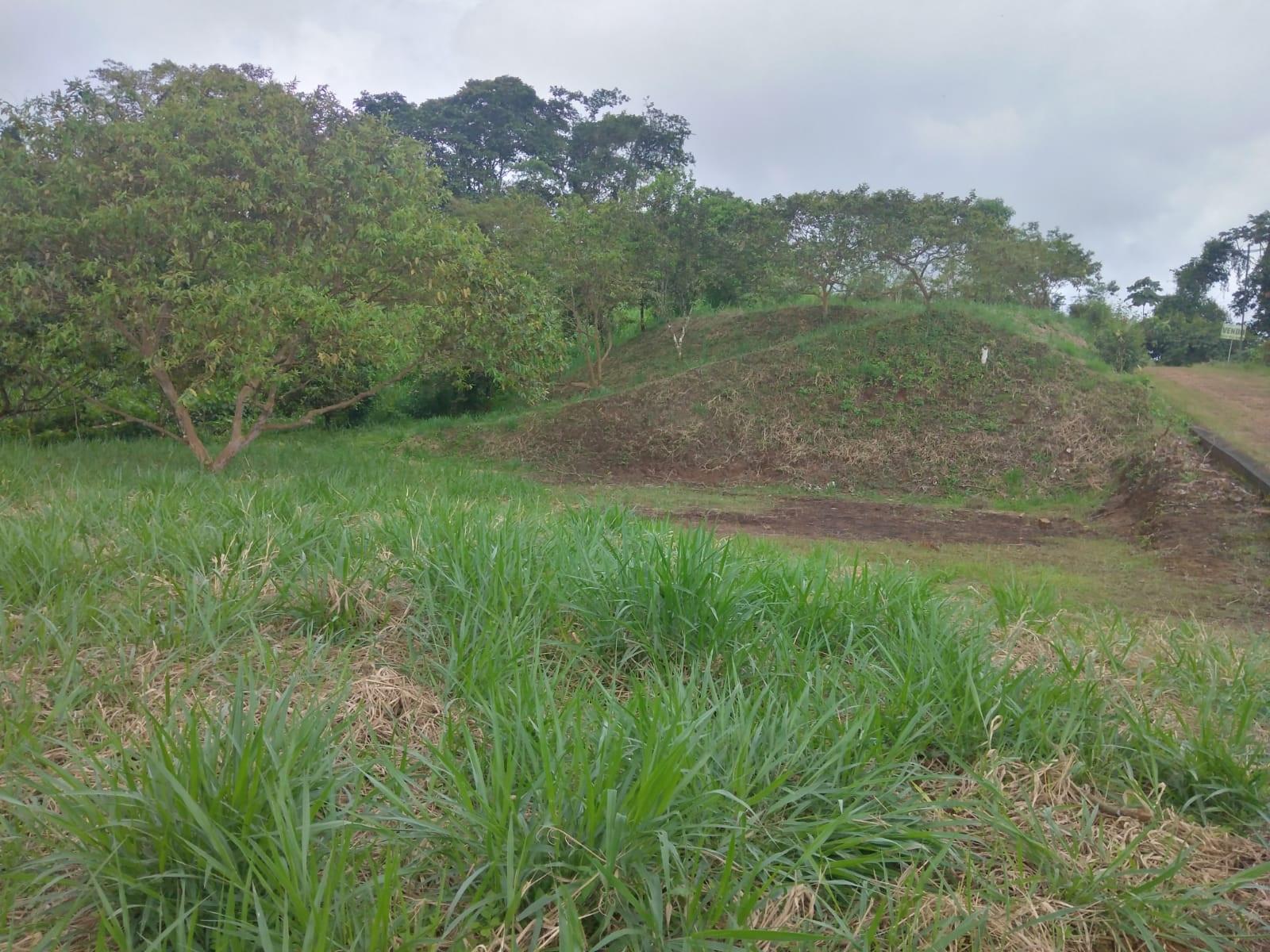 Terreno en venta en Ecuador | Pichincha | Pedro Vicente Maldonado, Pedro Vicente Maldonado, Vía Los Bancos