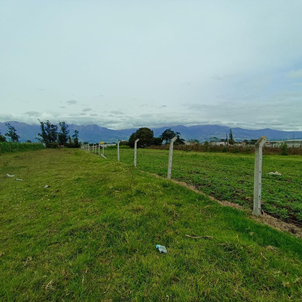 Terreno en venta en Ecuador | Imbabura | Ibarra, Atuntaqui, Calle Miguel Sanipatin