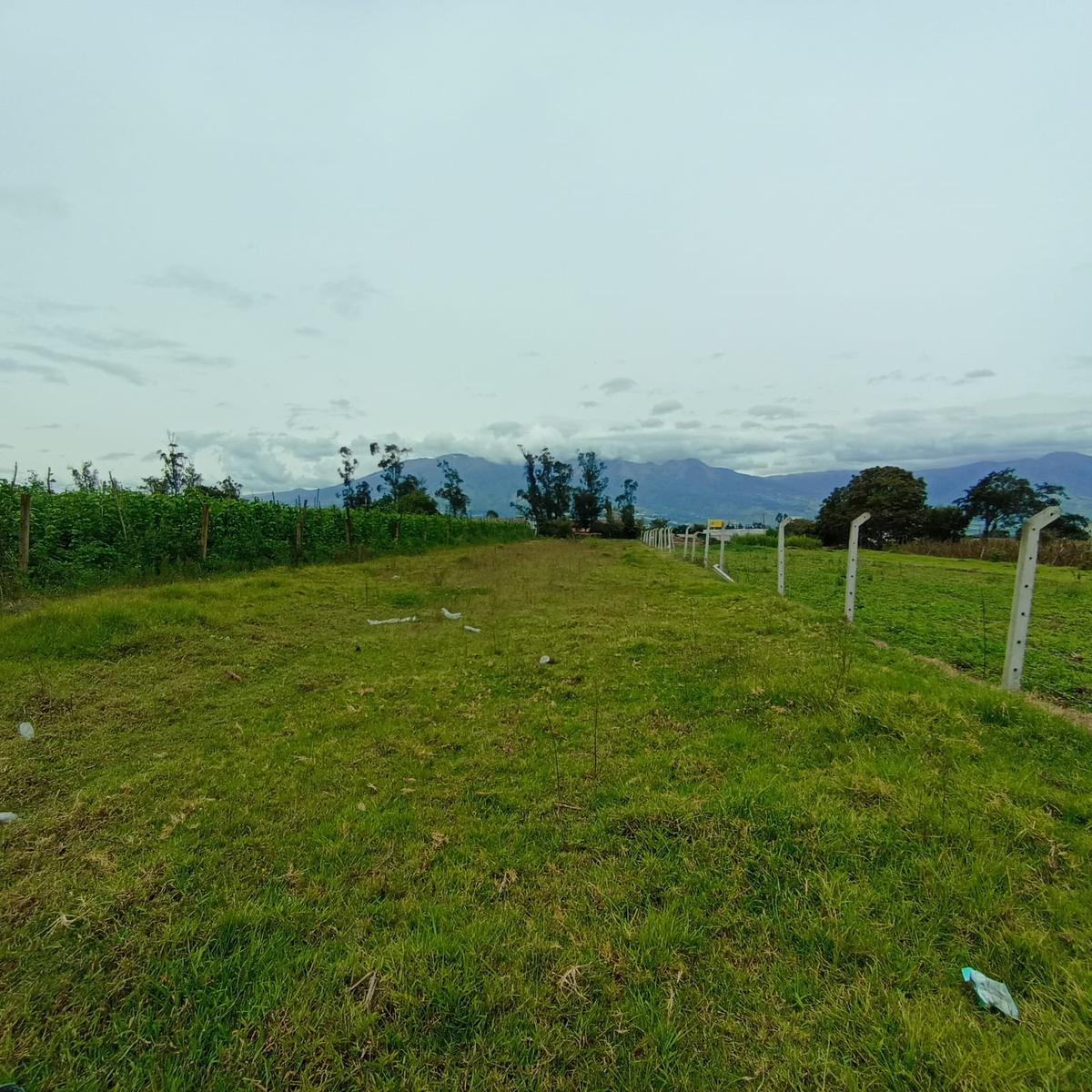 Terreno en venta en Ecuador | Imbabura | Ibarra, Atuntaqui, Calle Miguel Sanipatin