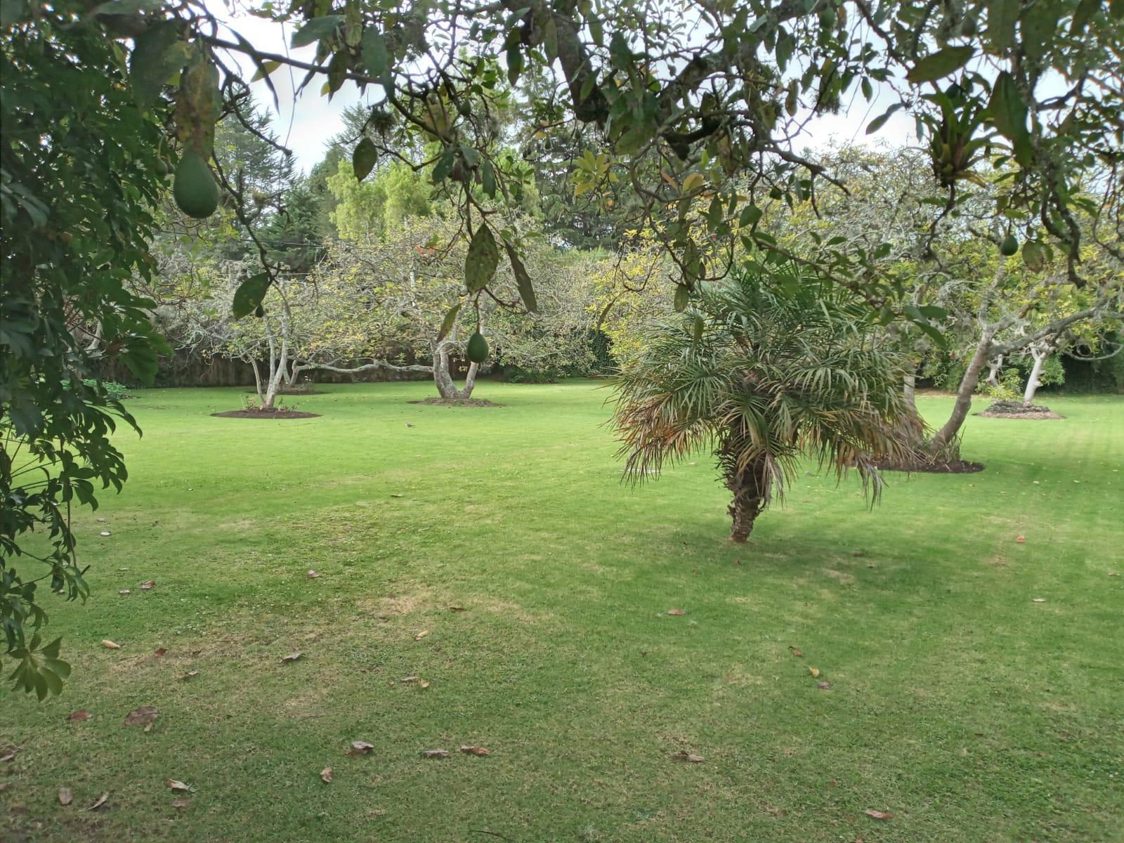 Land for sale in private gated community in Puembo 3