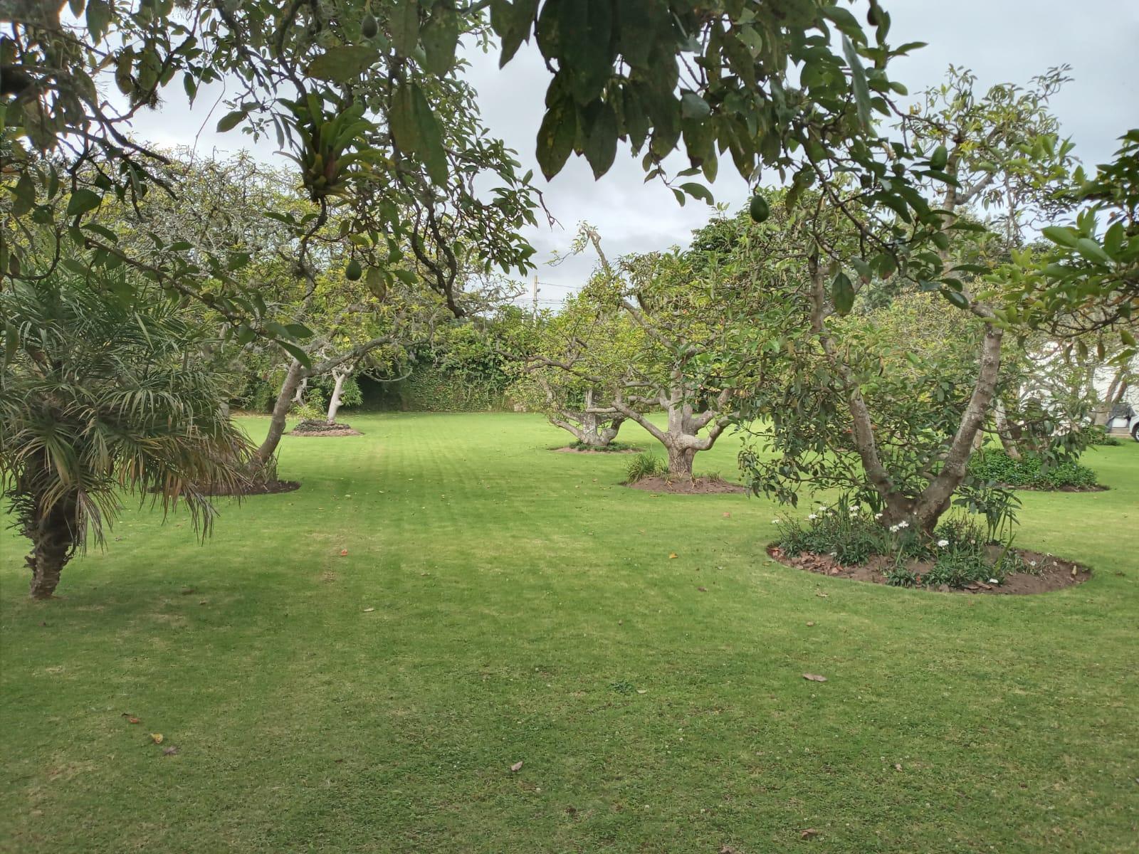 Terreno en venta en Pichincha | Quito | Puembo, francisco Arias, 2436 m²