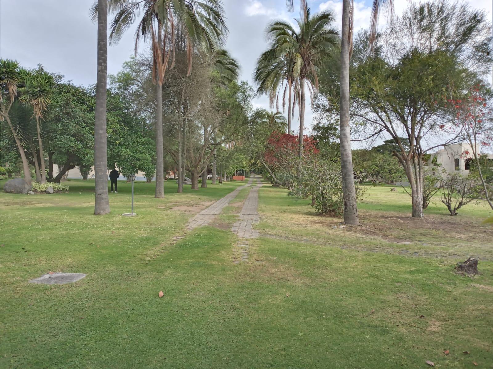 Terreno en venta en Pichincha | Quito | Puembo, francisco Arias, 2436 m²