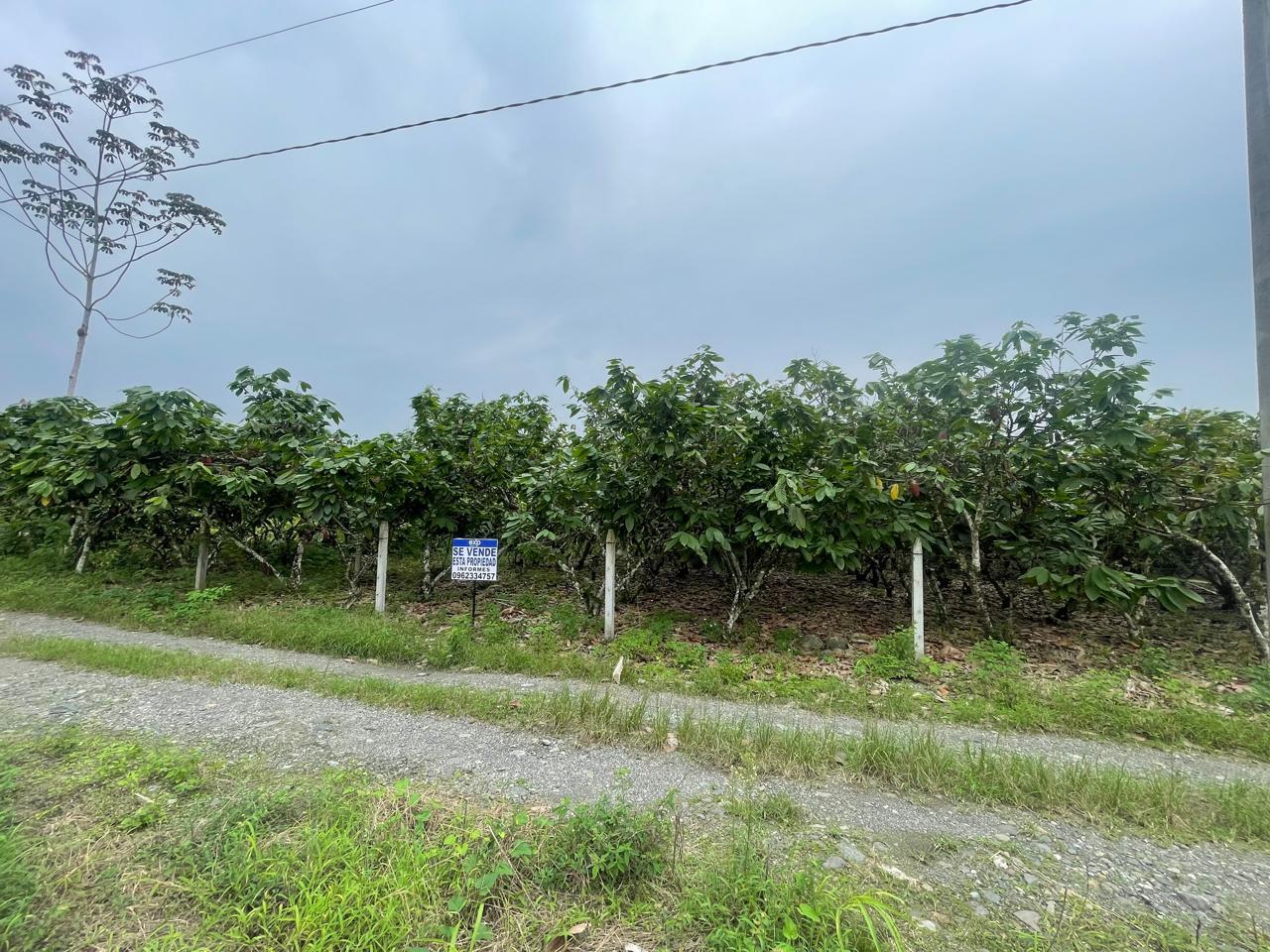 Terreno en venta en Ecuador | Cañar | La Troncal, Colonia 10 de agosto, cantón La Troncal, provincia del Cañar