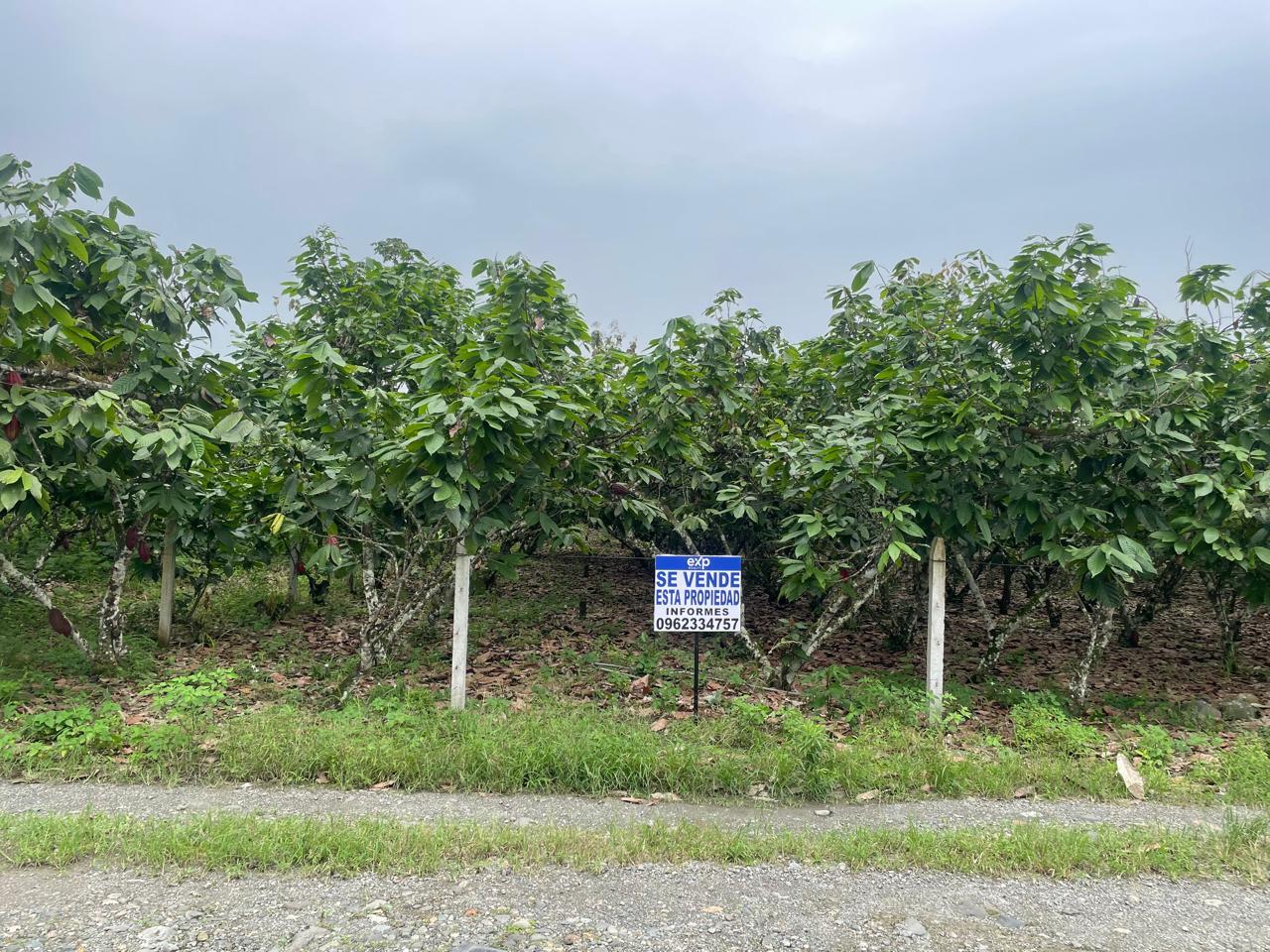 Terreno en venta en Ecuador | Cañar | La Troncal, Colonia 10 de agosto, cantón La Troncal, provincia del Cañar