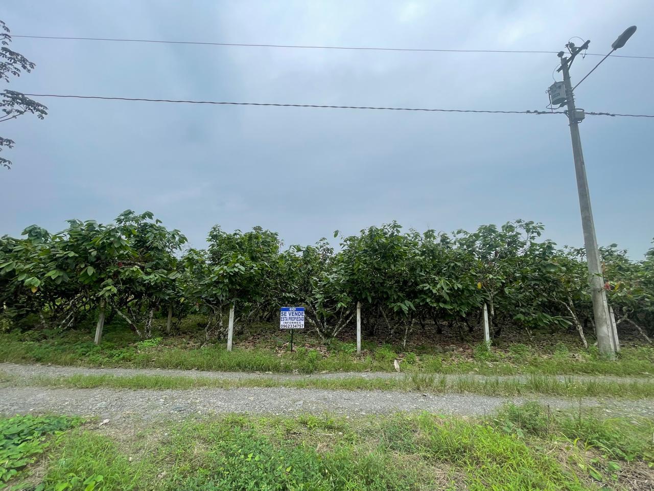 Terreno en venta en Ecuador | Cañar | La Troncal, Colonia 10 de agosto, cantón La Troncal, provincia del Cañar