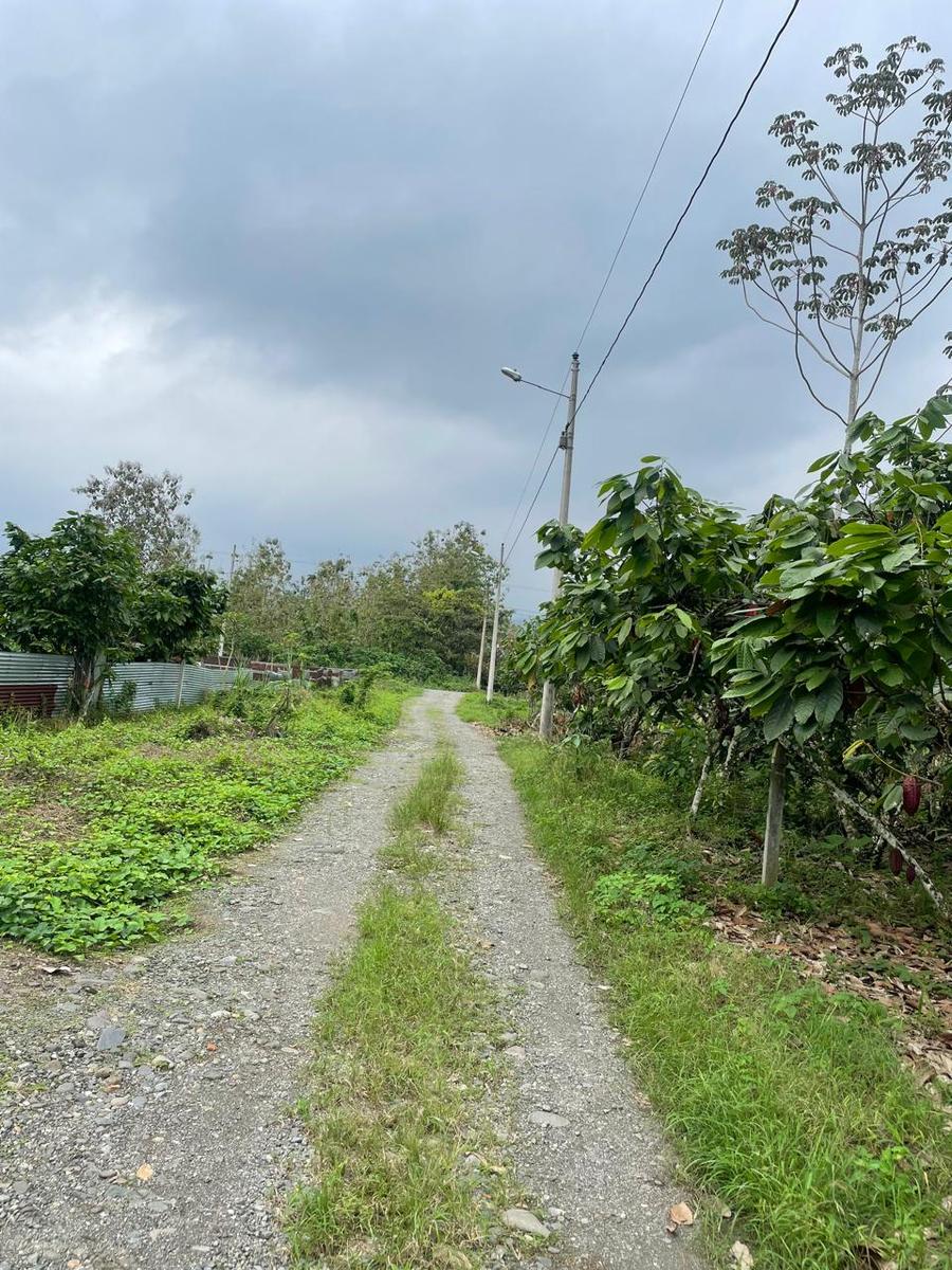Terreno en venta en Ecuador | Cañar | La Troncal, Colonia 10 de agosto, cantón La Troncal, provincia del Cañar