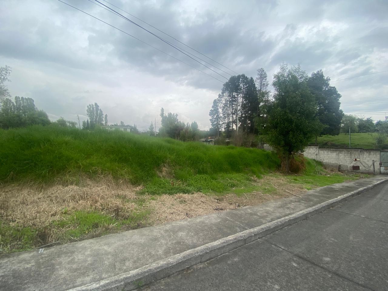 Terreno en venta en Pichincha | Quito | Los Chillos, DUCHICELA LOTE 01 Y PURUHAES