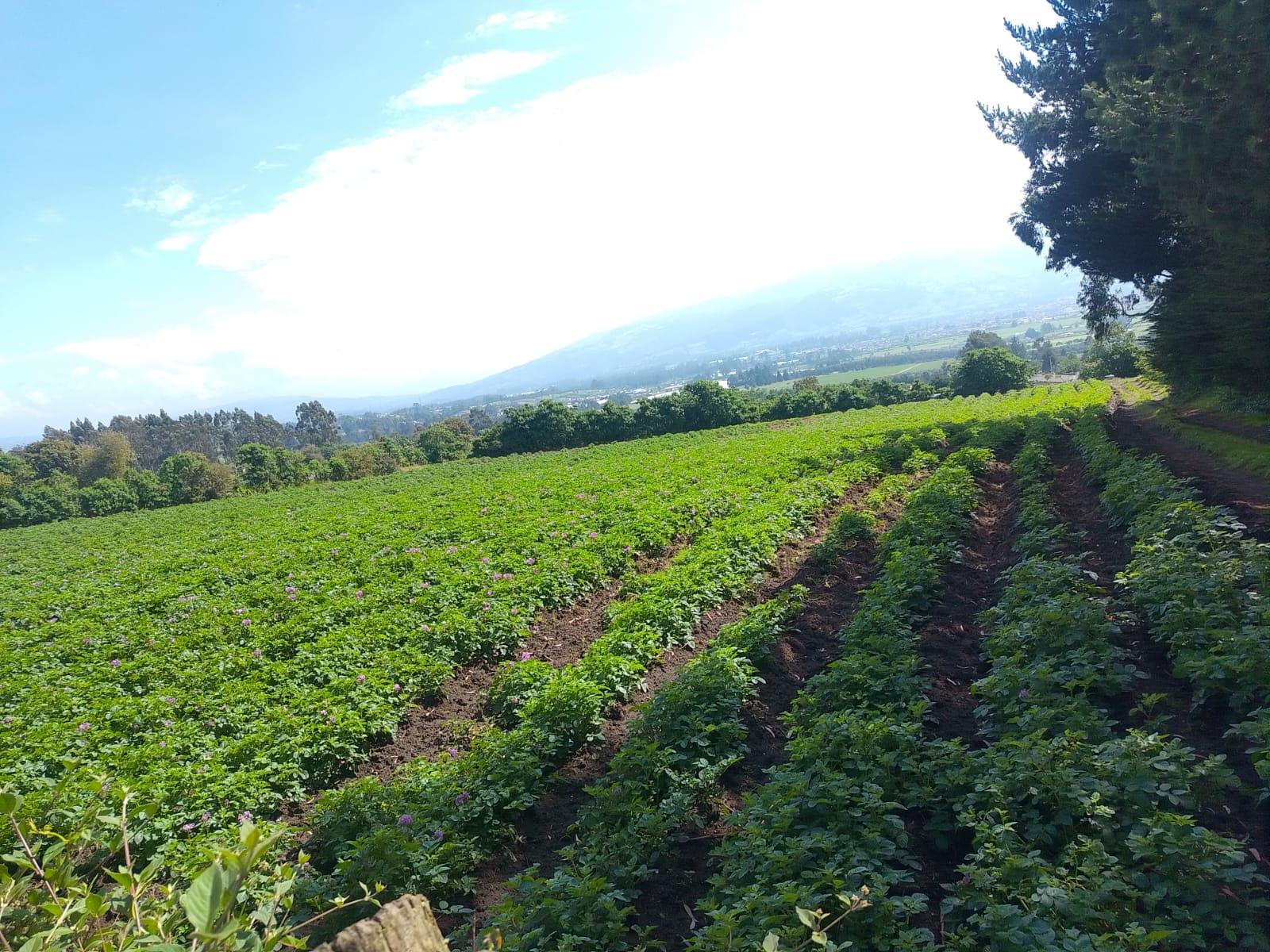 Terreno en venta en Pichincha | Machachi | Sur de Machachi, Aloasi Barrio la estación , Machachi , El Corazon , Mejia