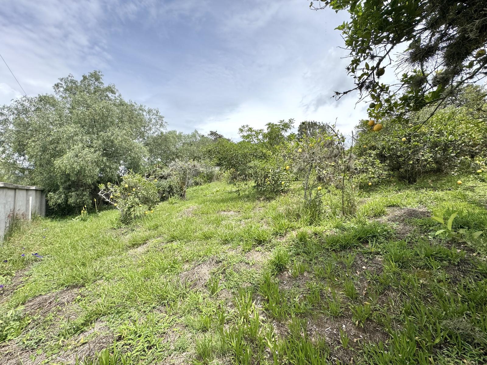 Terreno en venta en Pichincha | Quito | Puembo, Urbanización Lomas de Nápoles, Puembo