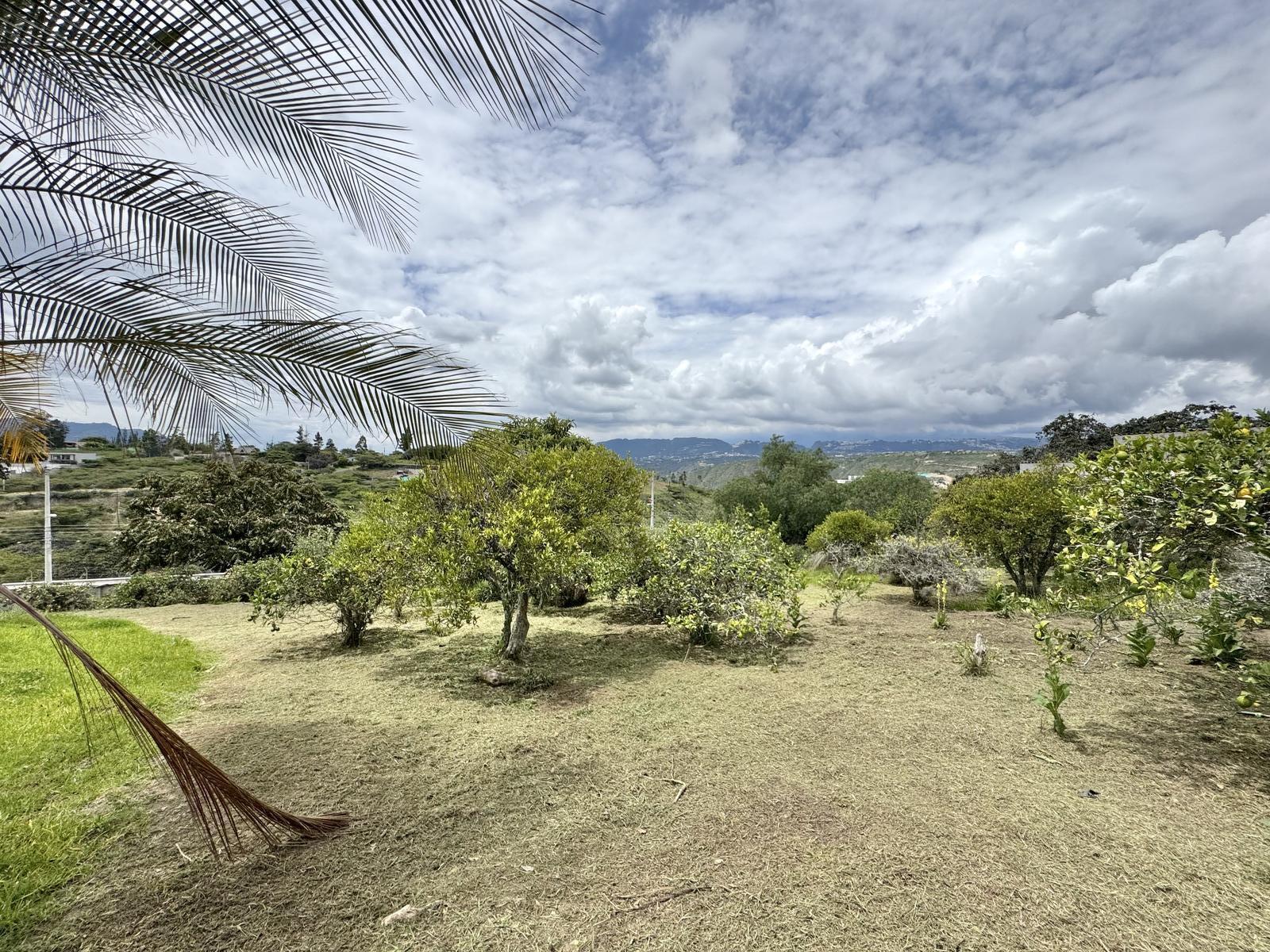 Terreno en venta en Pichincha | Quito | Puembo, Urbanización Lomas de Nápoles, Puembo