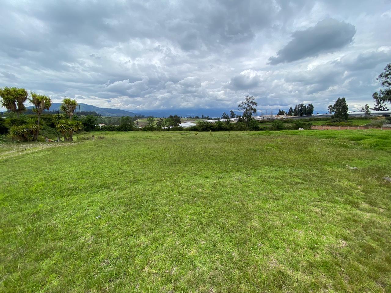 Land for Sale in Pifo