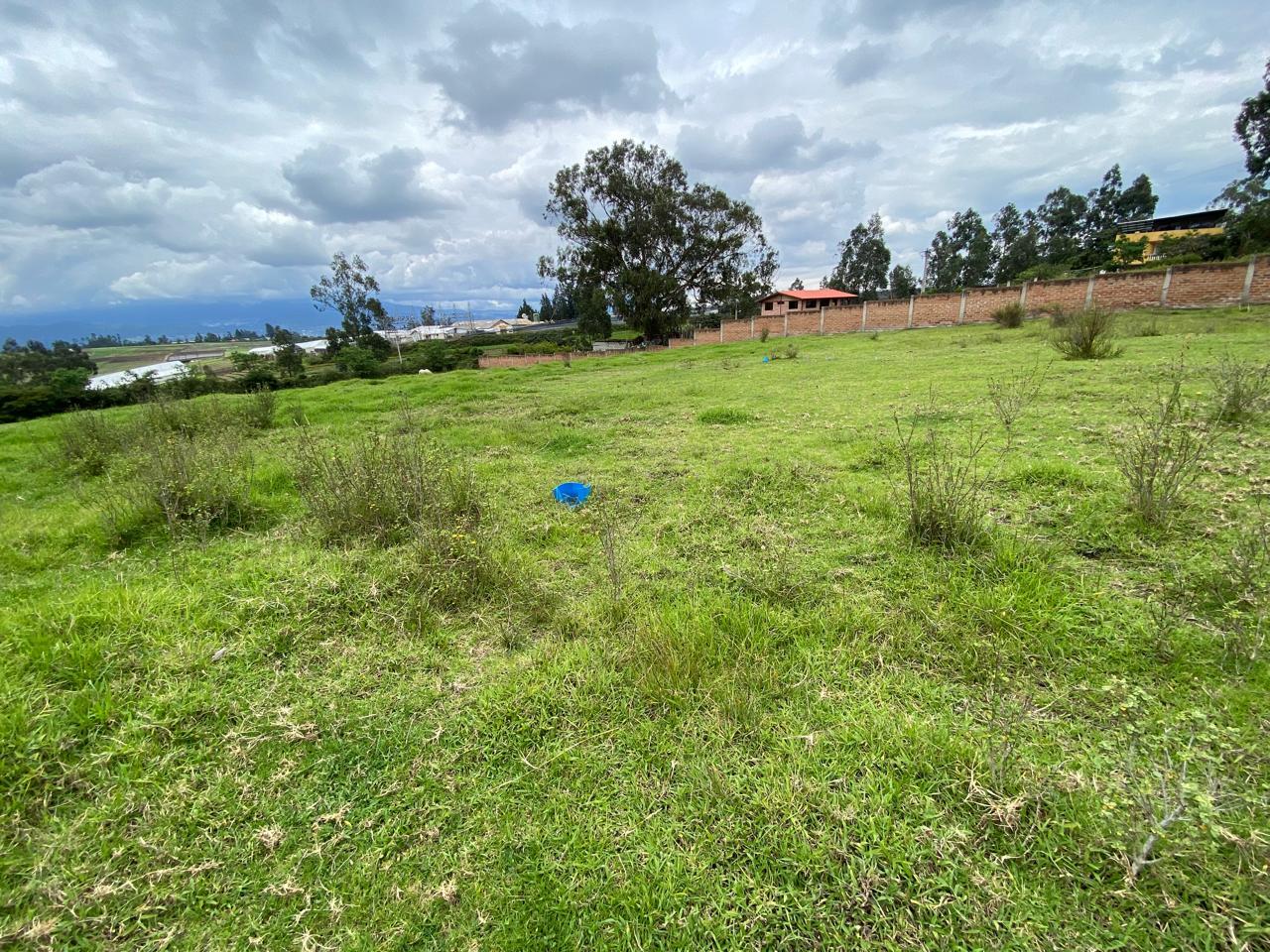 Land for Sale in Pifo 5