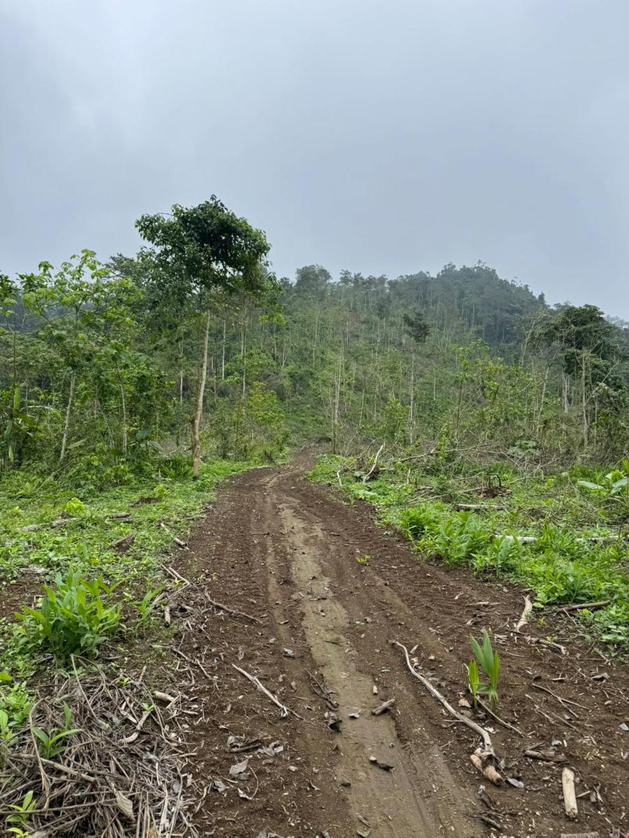 Terreno en venta en Ecuador | Santo Domingo de los Tsáchilas | Santo Domingo, Venta Finca Agrìcola de 11 hèctareas en Santo Domingo Tsàchilas, San Gabriel del Baba