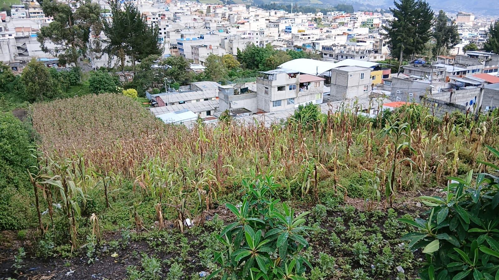 Terreno en venta en Pichincha | Quito | Sur de Quito, Guamani sector El Cornejo