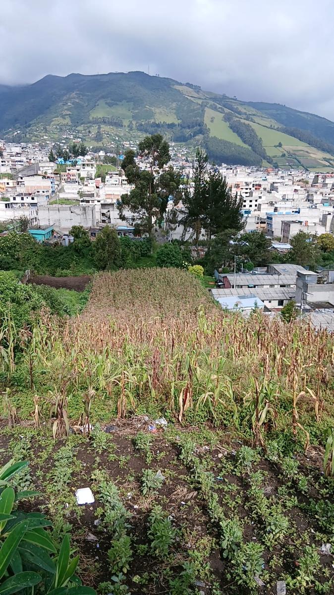 Terreno en venta en Pichincha | Quito | Sur de Quito, Guamani sector El Cornejo