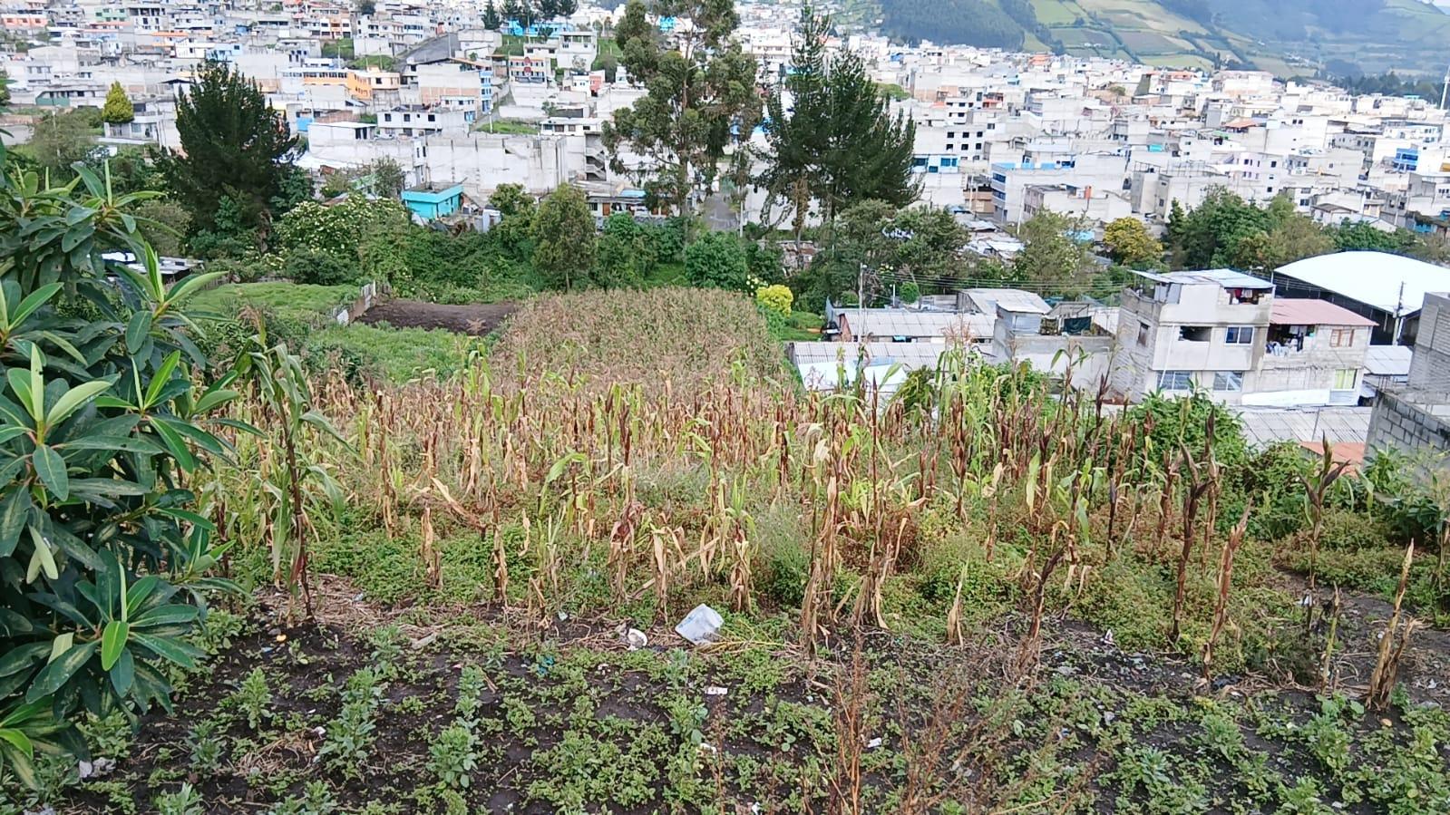 Terreno en venta en Pichincha | Quito | Sur de Quito, Guamani sector El Cornejo