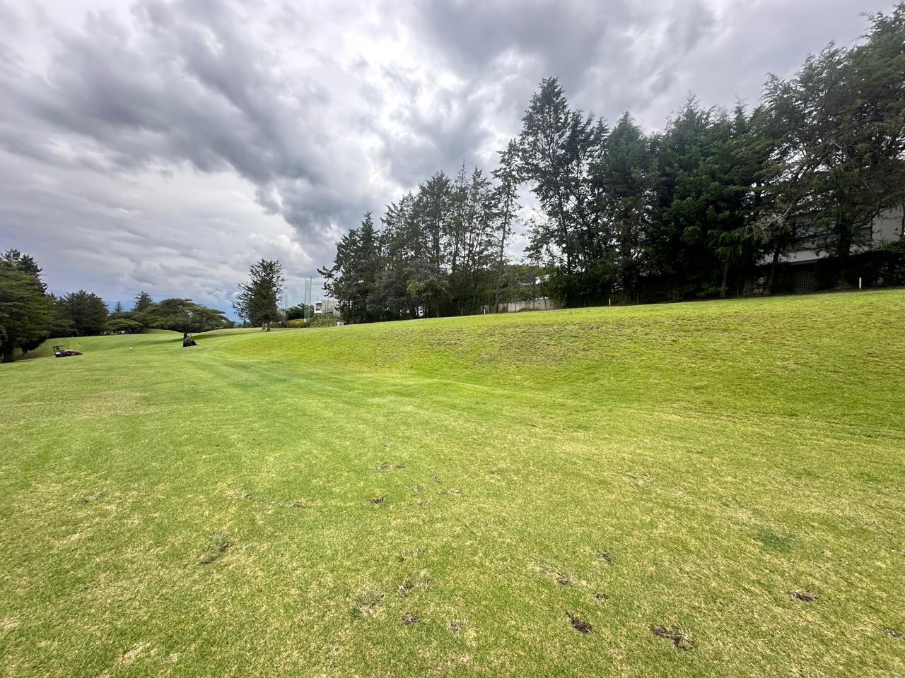 Land in Puembo 5