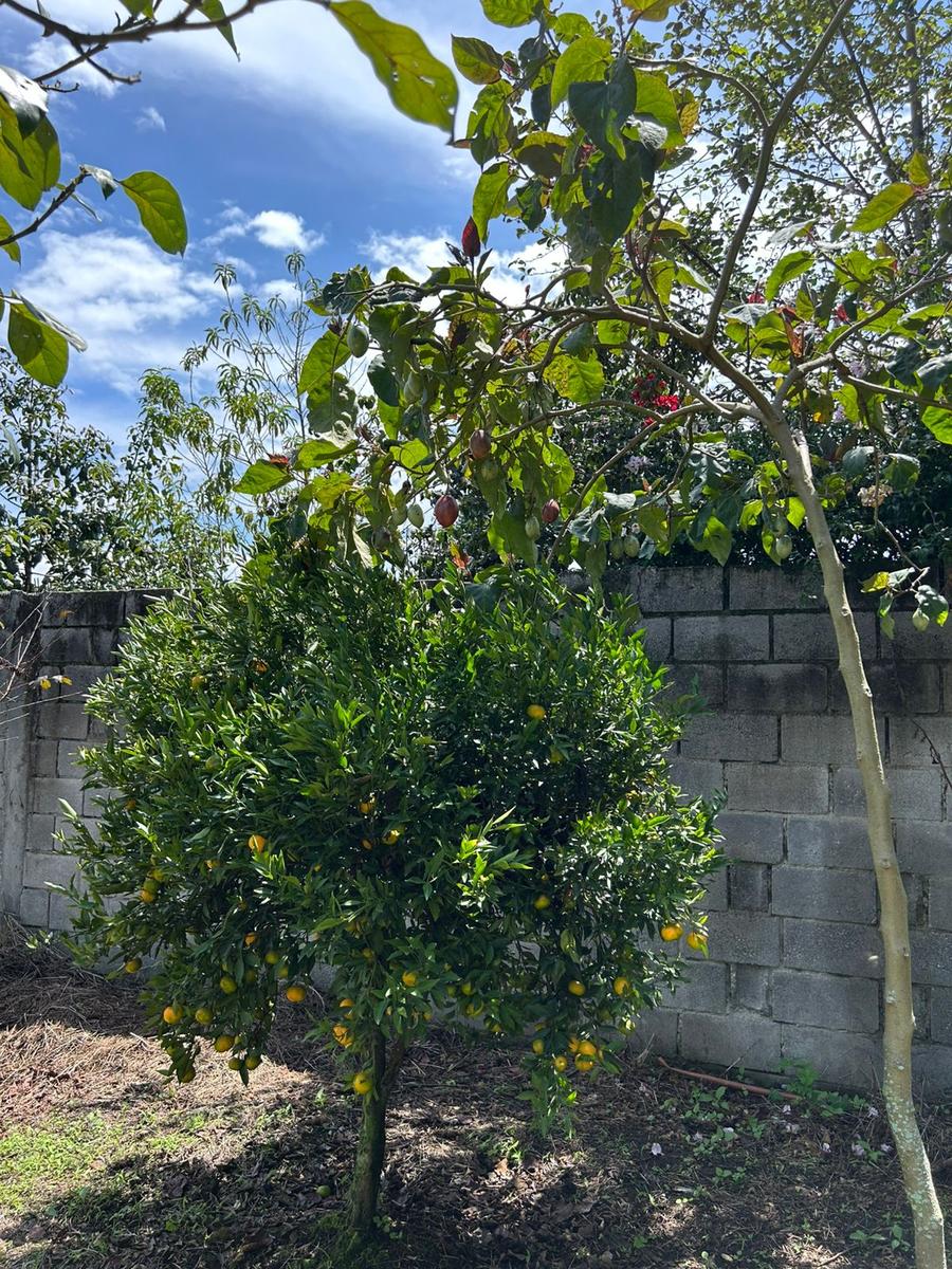 Terreno en venta en Pichincha | Quito | Los Chillos, Sangolquí, Urbanización Las Fuentes,