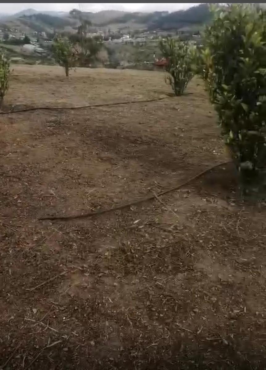 Terreno en venta en Ecuador | Pichincha | Tabacundo, Tabacundo 1