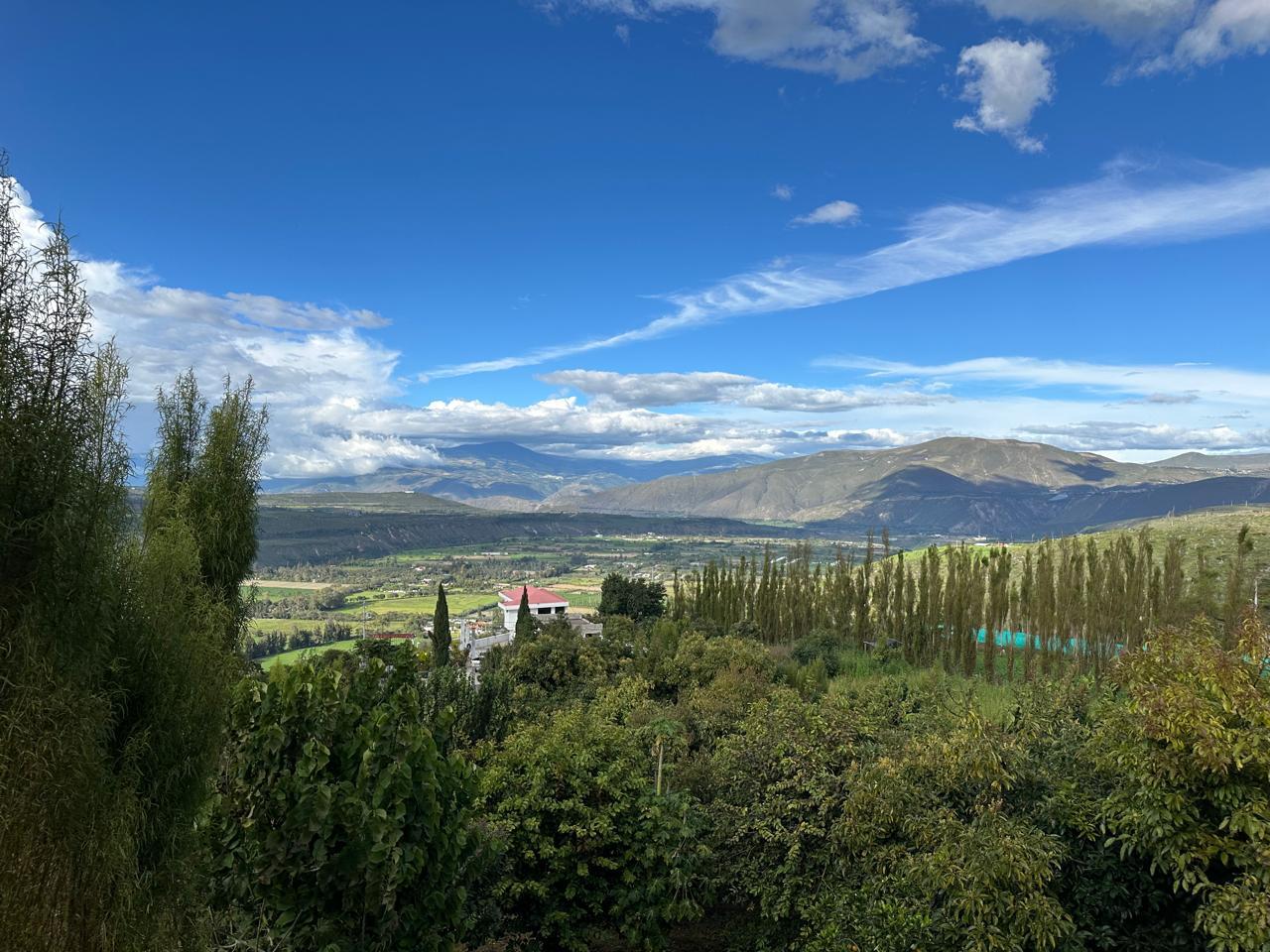 Casa en venta en Imbabura | Antonio Ante | Chaltura, PROPIEDAD COMERCIAL EN VENTA – ALTO POTENCIAL TURÍSTICO CHALTURA, 3218 m²