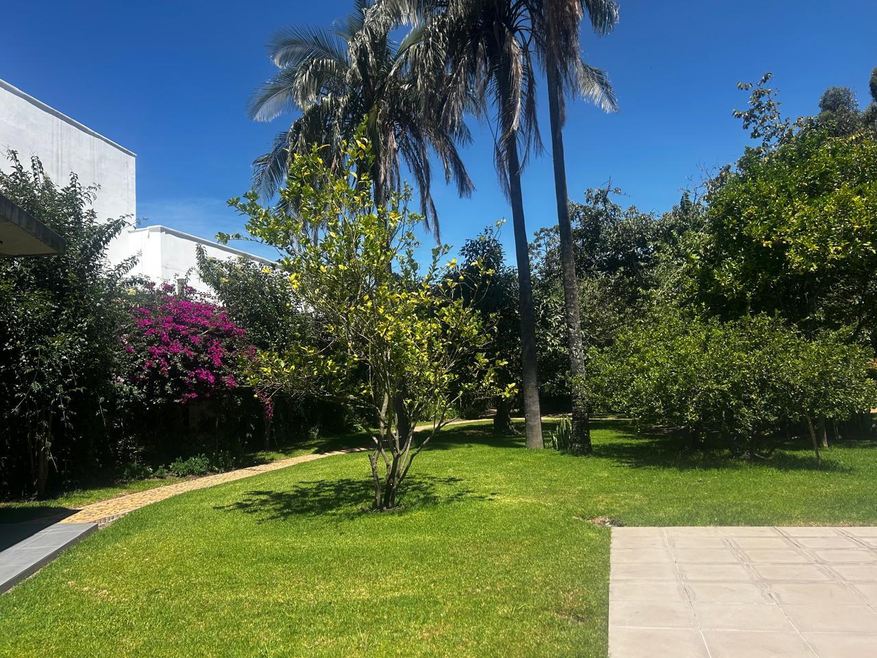 Selling Land in Exclusive Urbanization in Cumbayá Sector