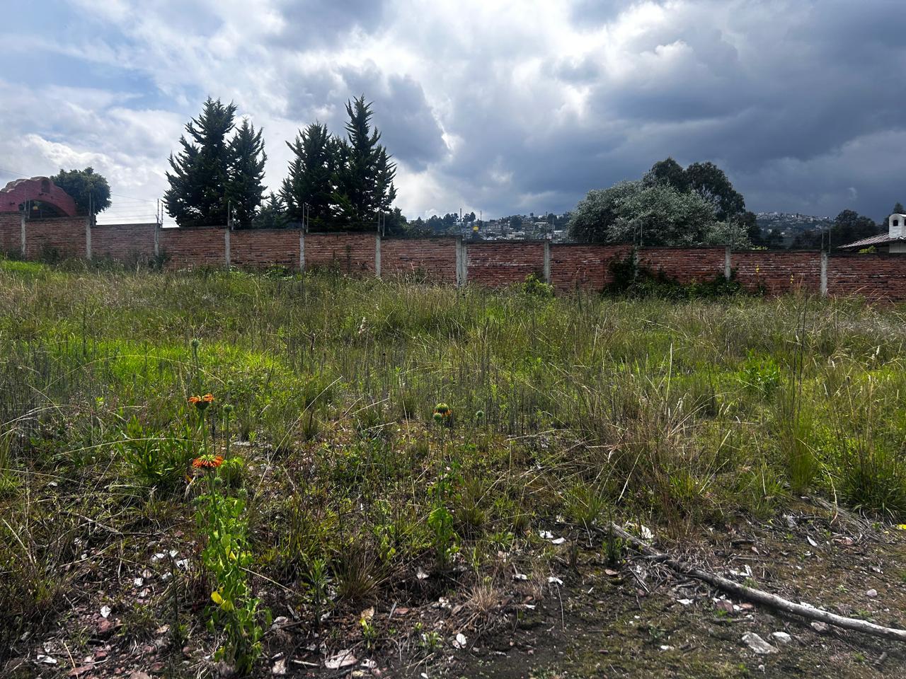 Terreno en venta en Pichincha | Quito | Llano Chico, Manuel Benitez y Calle Alfonso Tufiño / Llano Chico