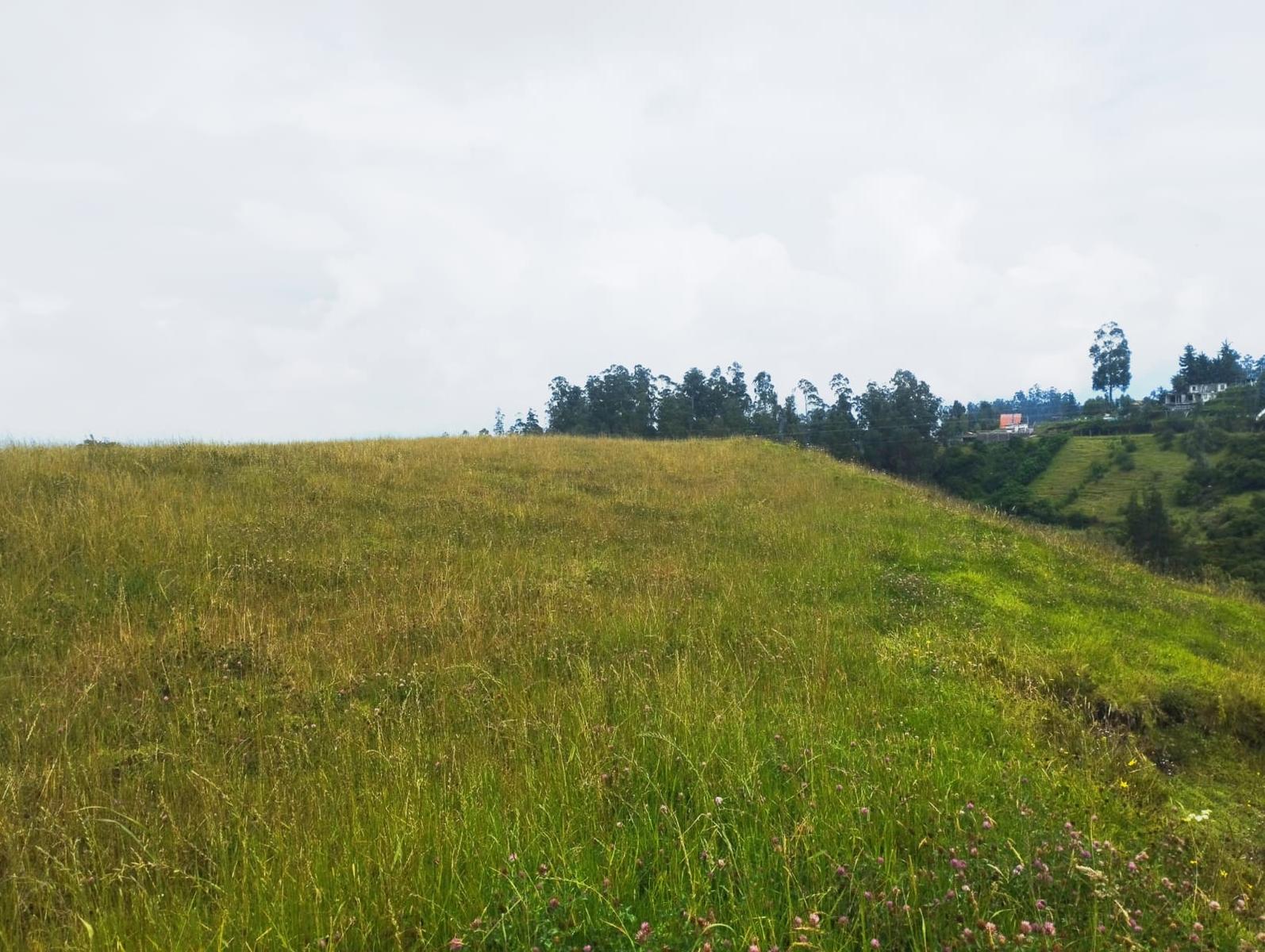 LAND FOR SALE, Píntag 65,648.75 m² 3