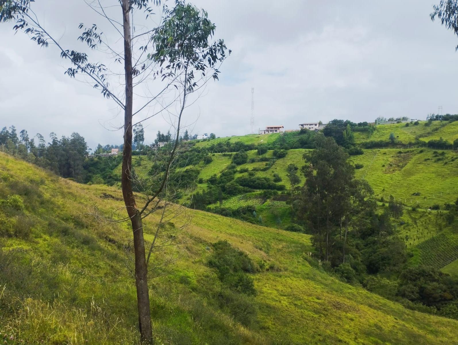 LAND FOR SALE, Píntag 65,648.75 m² 5