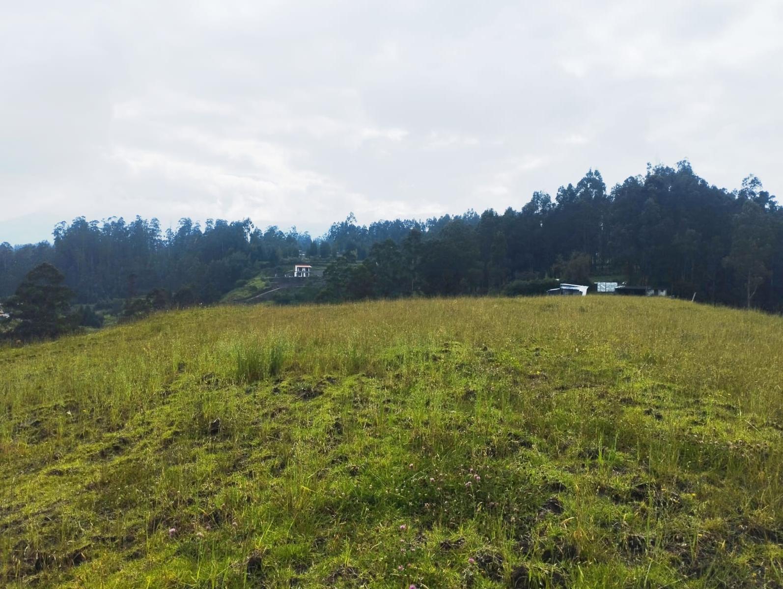 LAND FOR SALE, Píntag 65,648.75 m²
