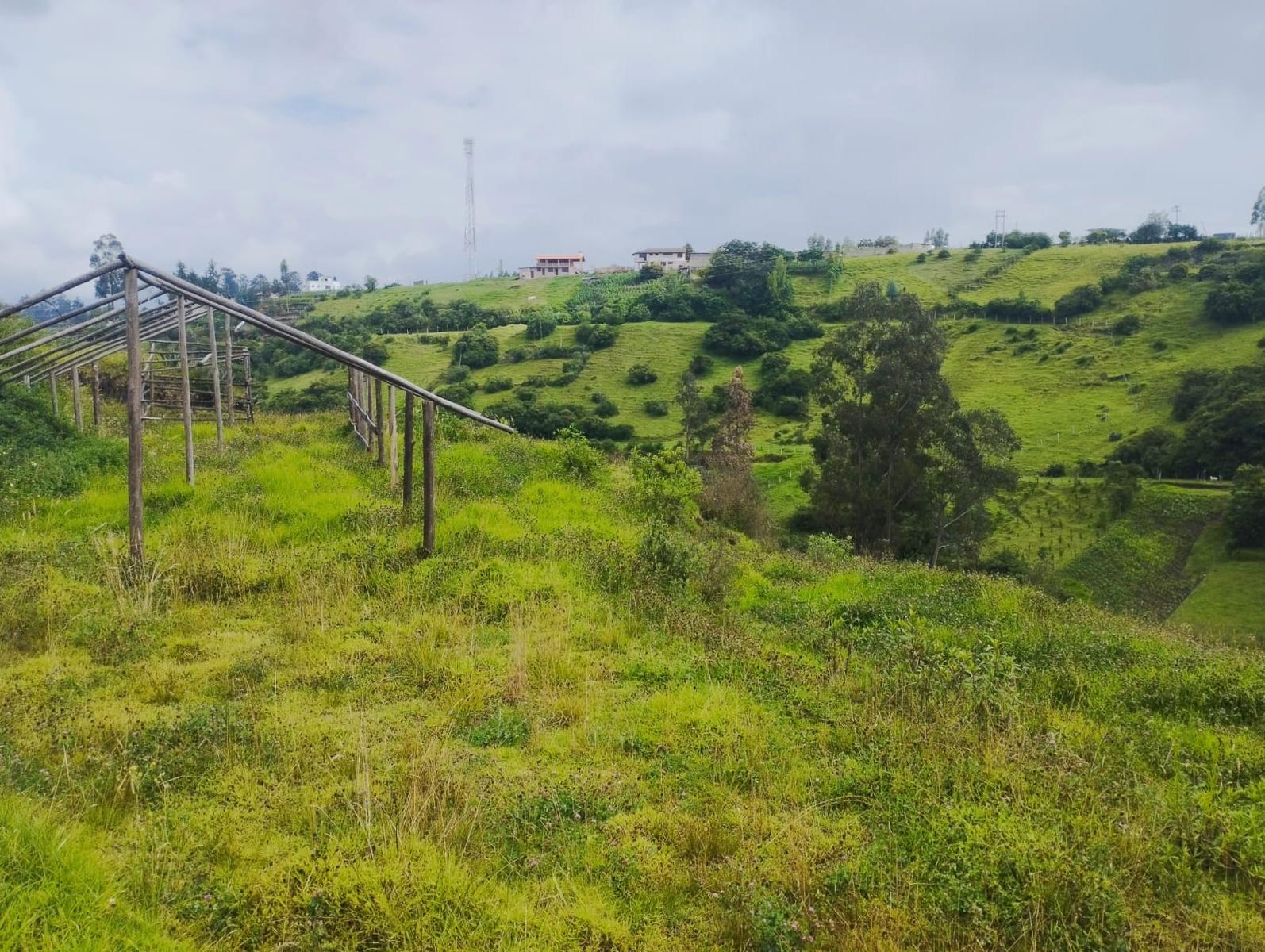 LAND FOR SALE, Píntag 65,648.75 m² 2