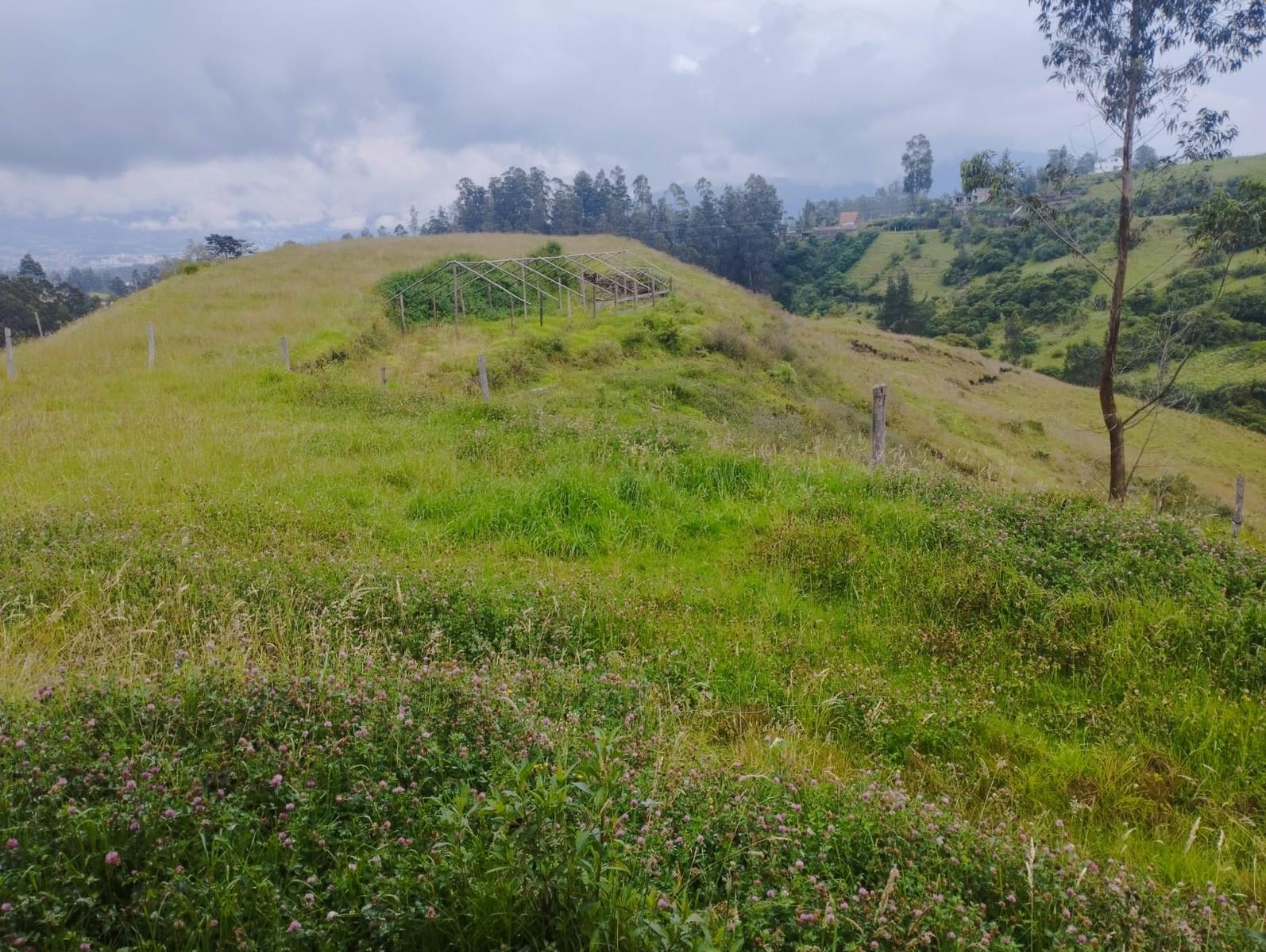 LAND FOR SALE, Píntag 65,648.75 m² 4
