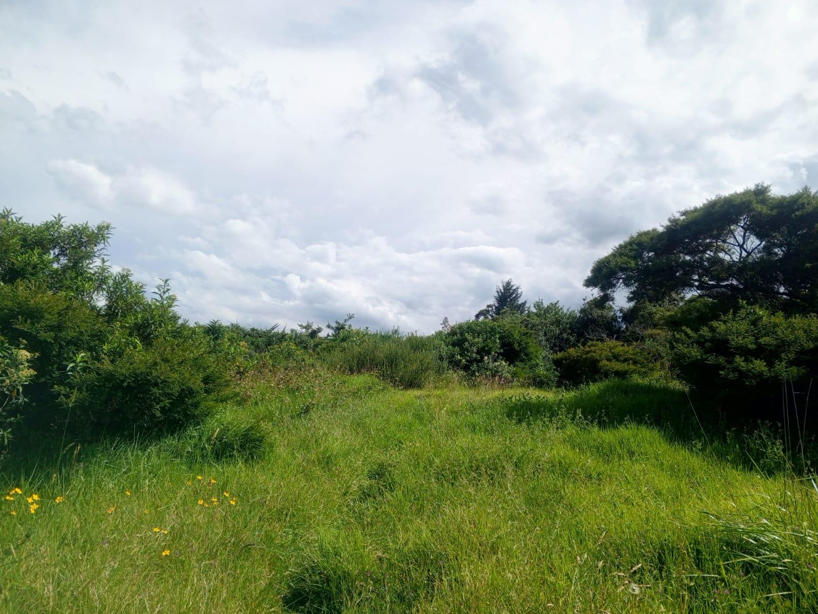 Terreno en venta en Pichincha | Quito | Tumbaco, 98037 98037 Barrio/Sector: INGA ALTO